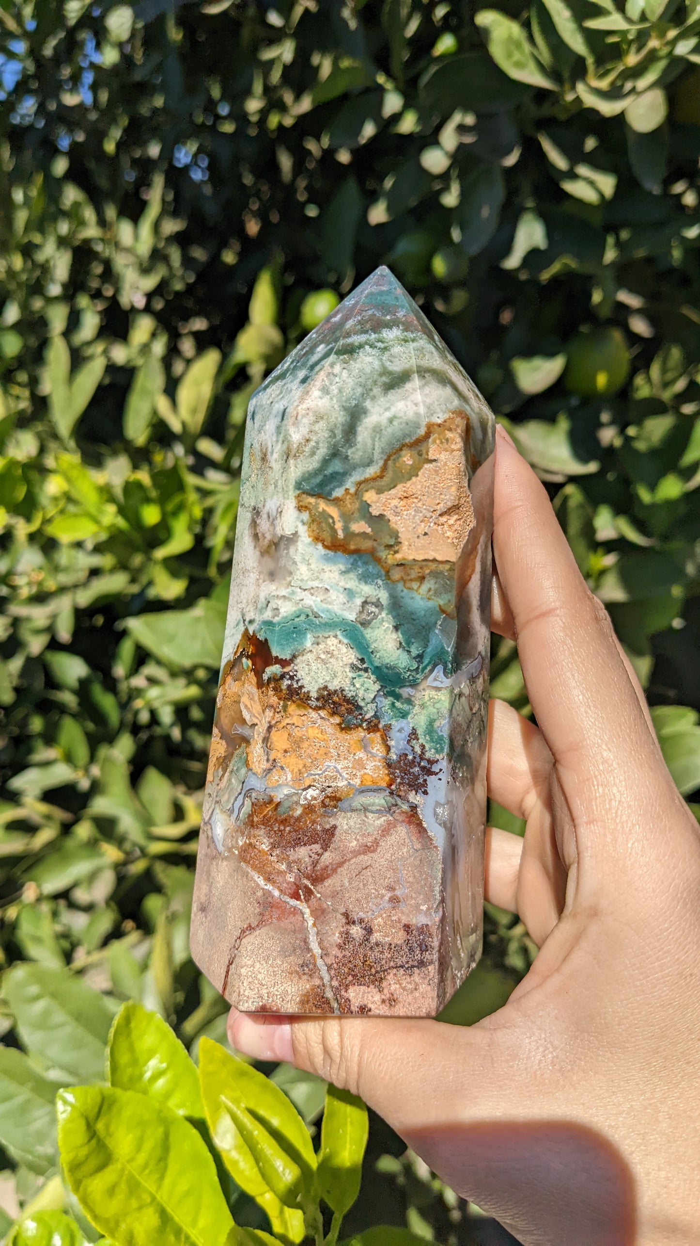 Ocean Jasper Tower I