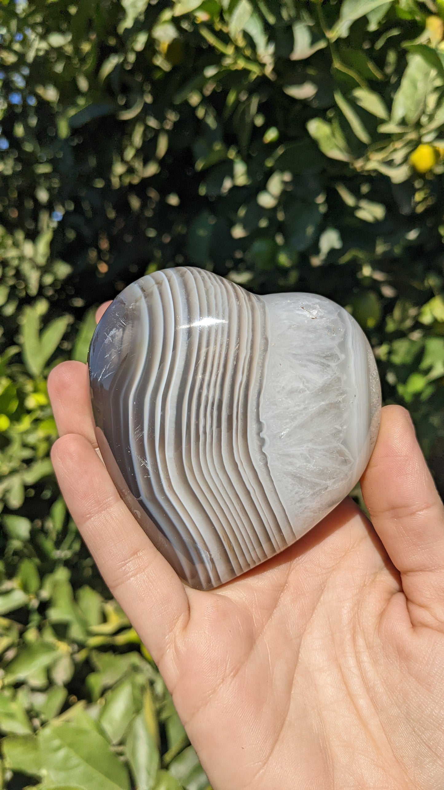 Agate Hearts