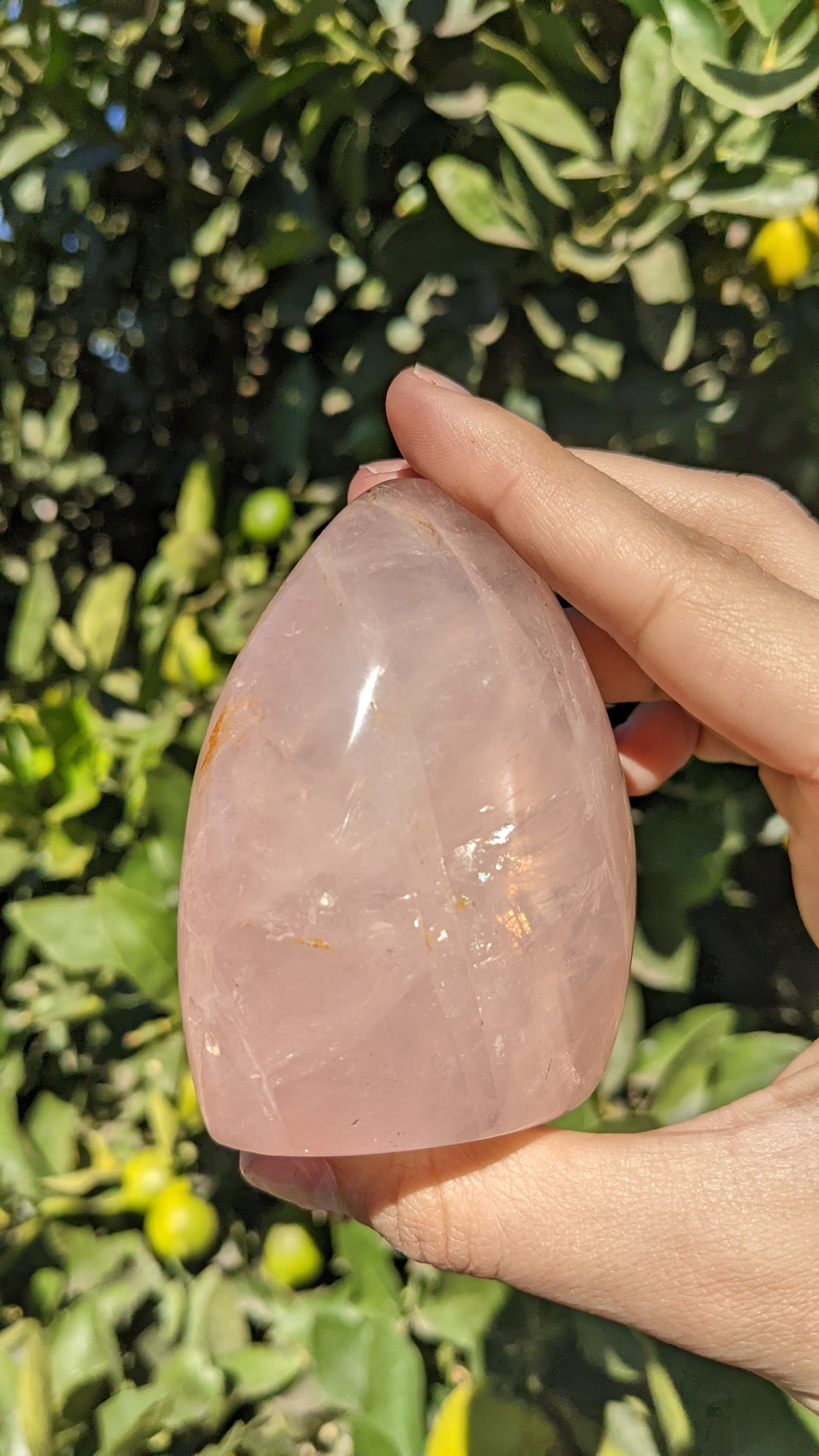 Rose Quartz Freeform