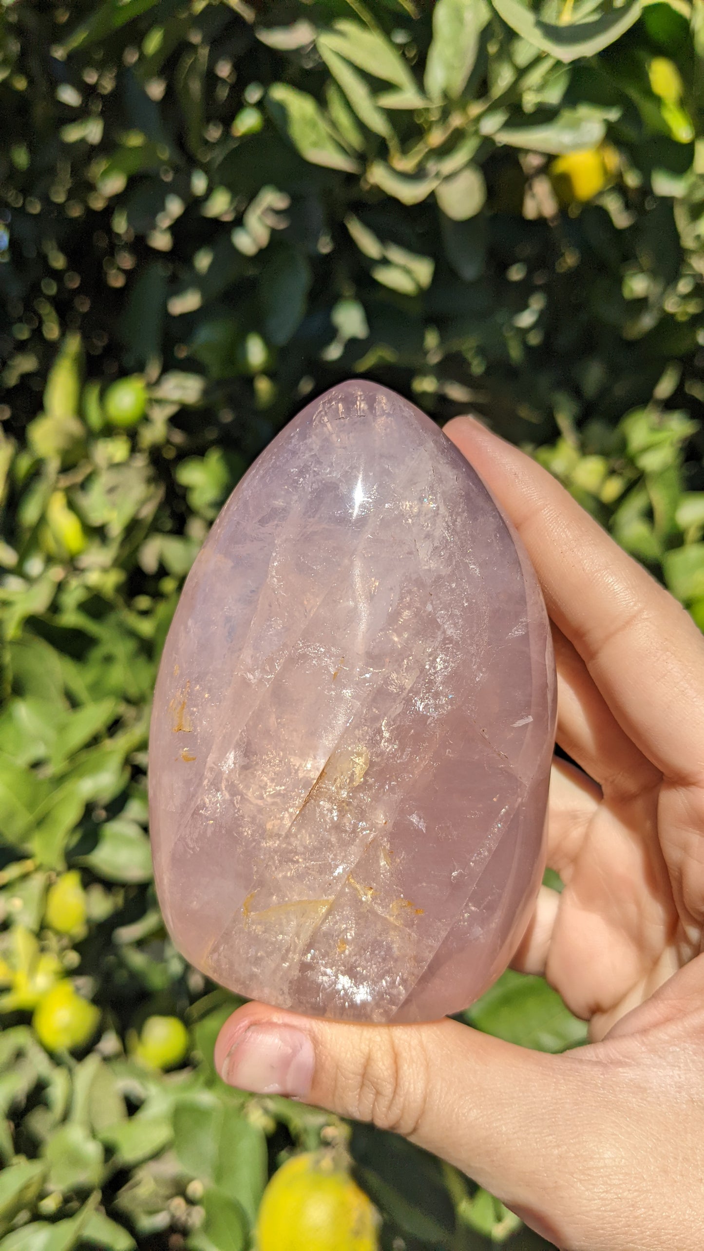 Rose Quartz Freeform