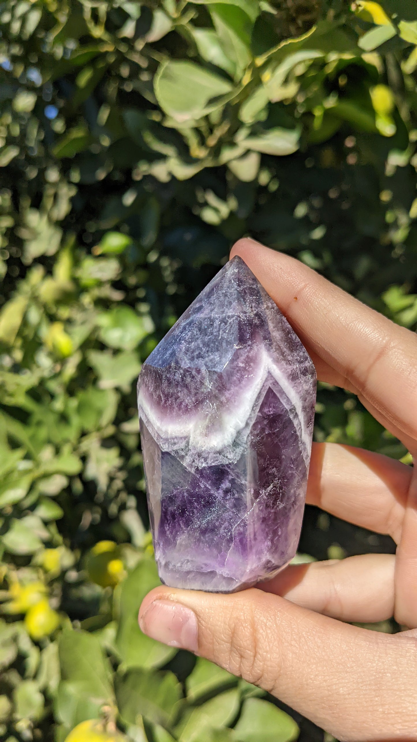 Chevron Amethyst Points