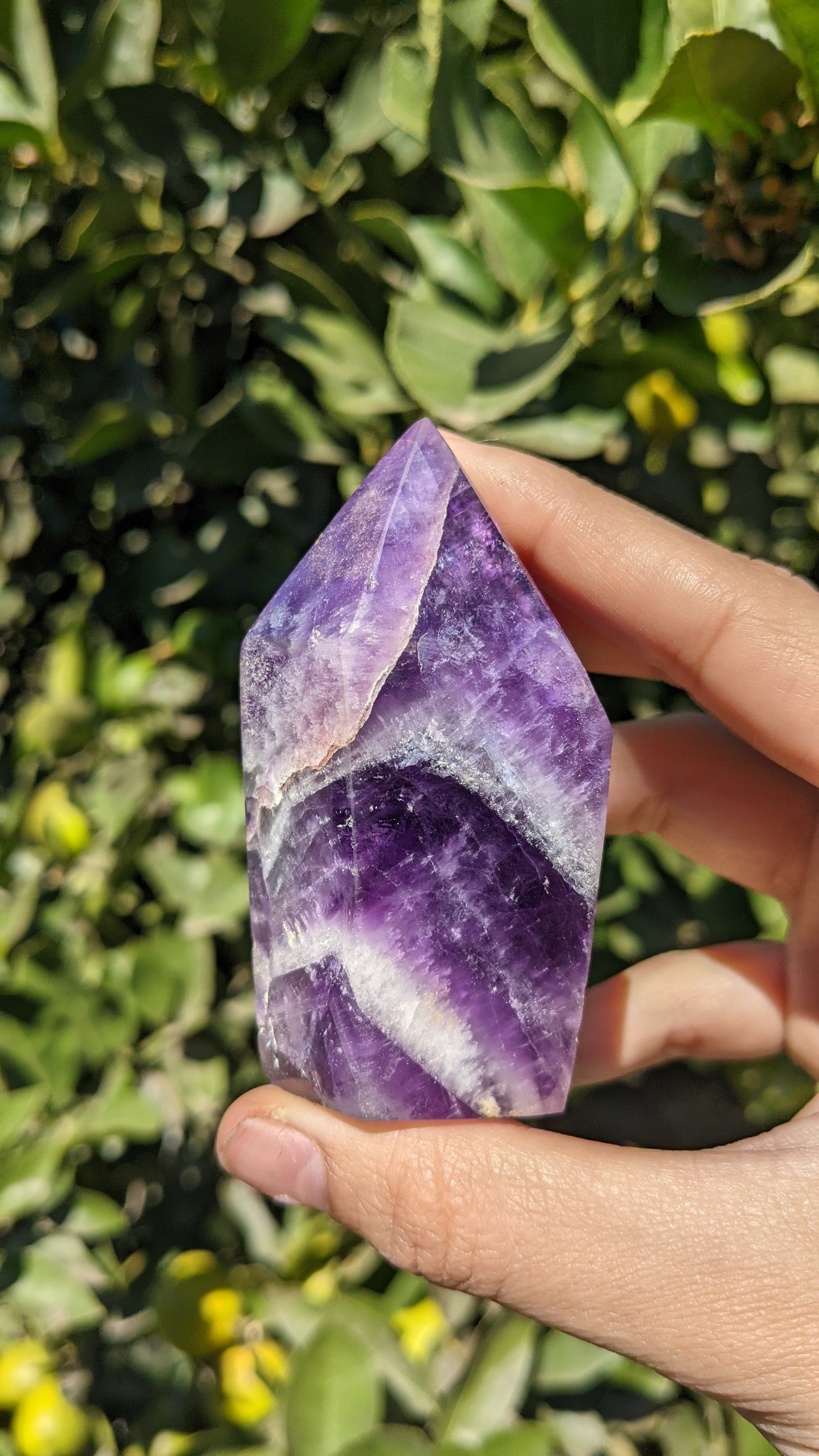 Chevron Amethyst Points