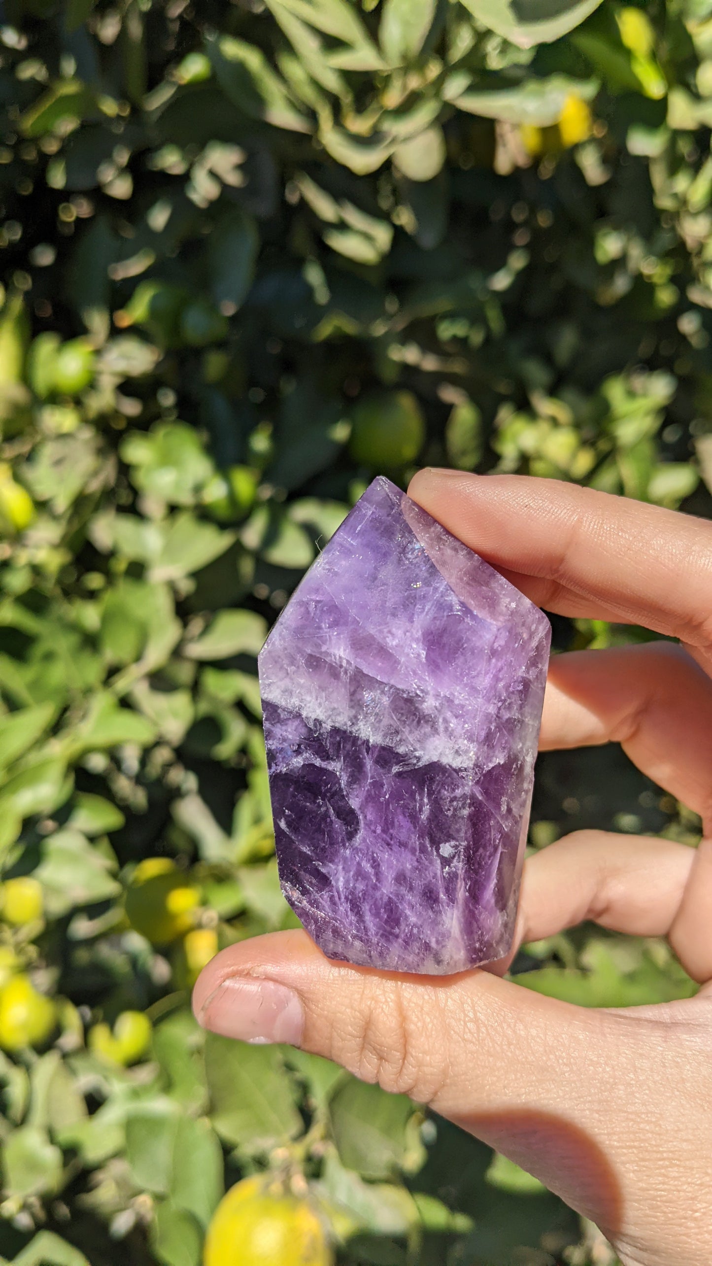 Chevron Amethyst Points