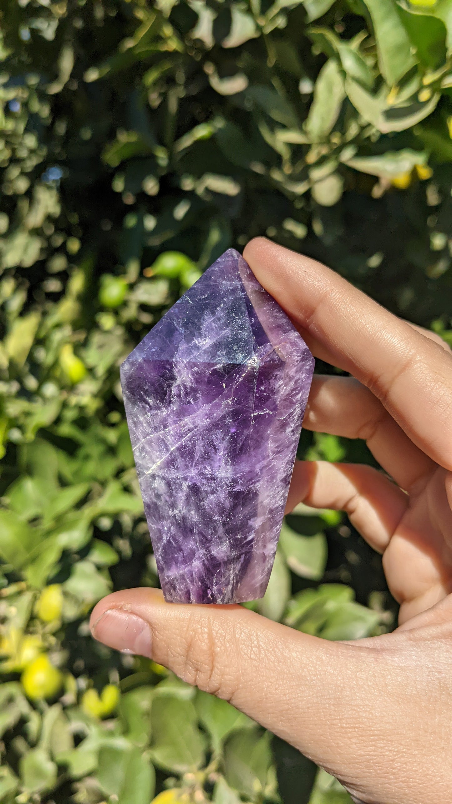 Chevron Amethyst Points