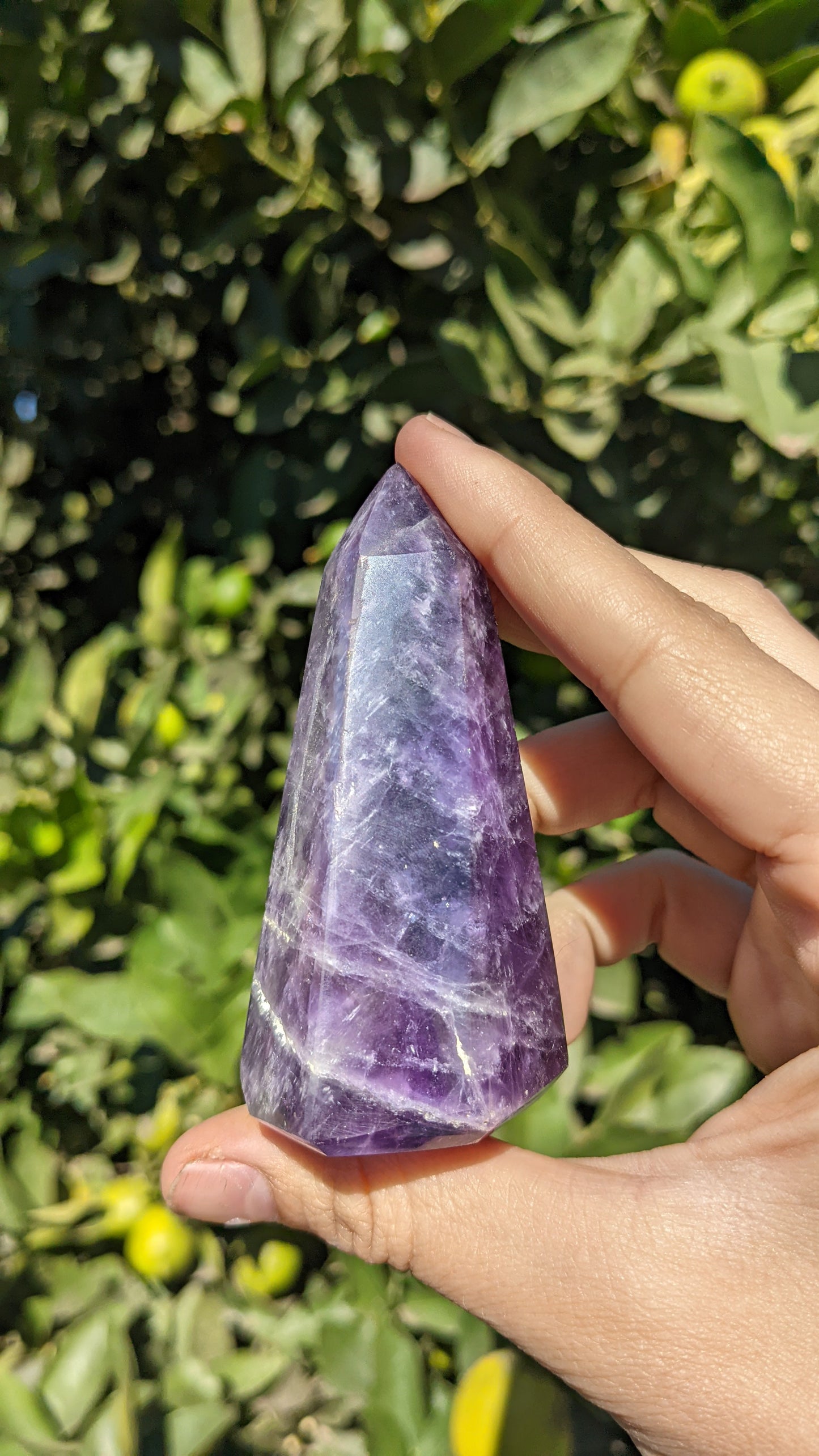 Chevron Amethyst Points