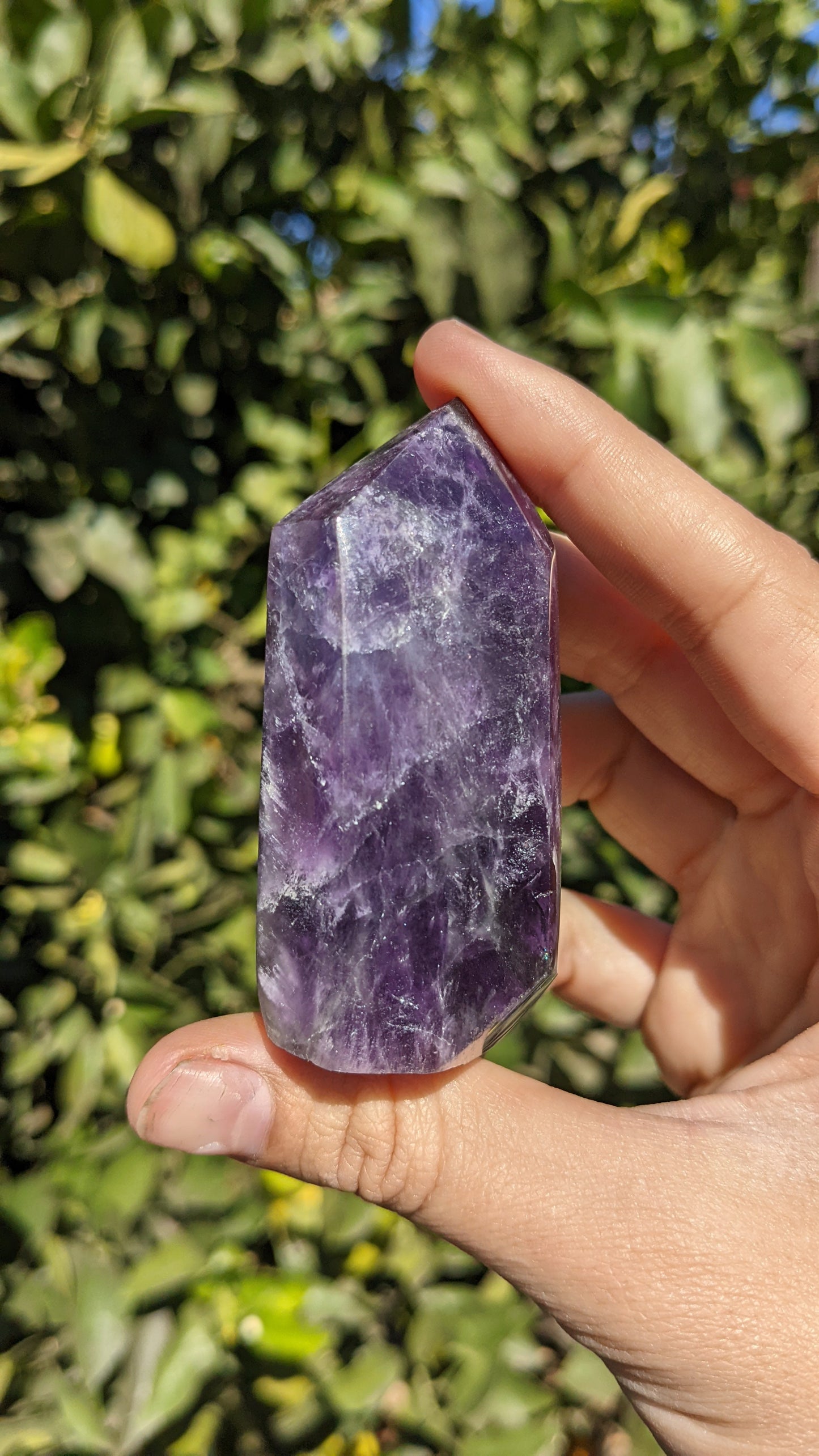 Chevron Amethyst Points