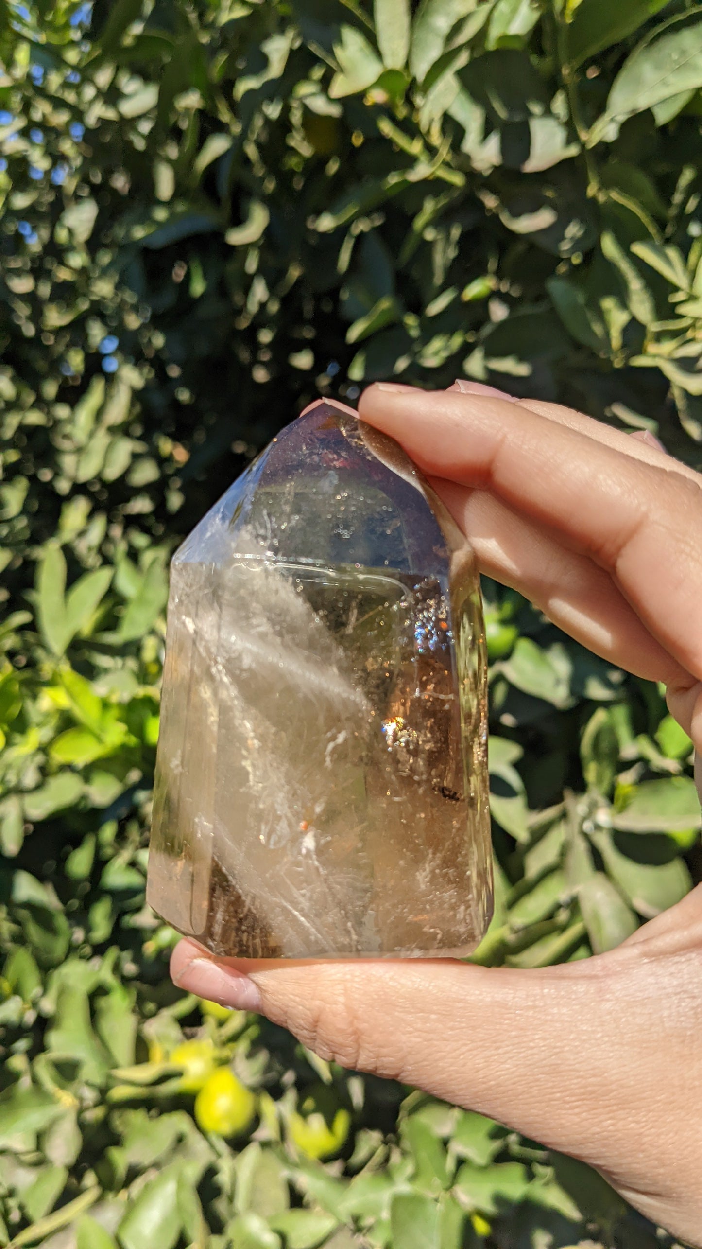 Smoky Quartz Points