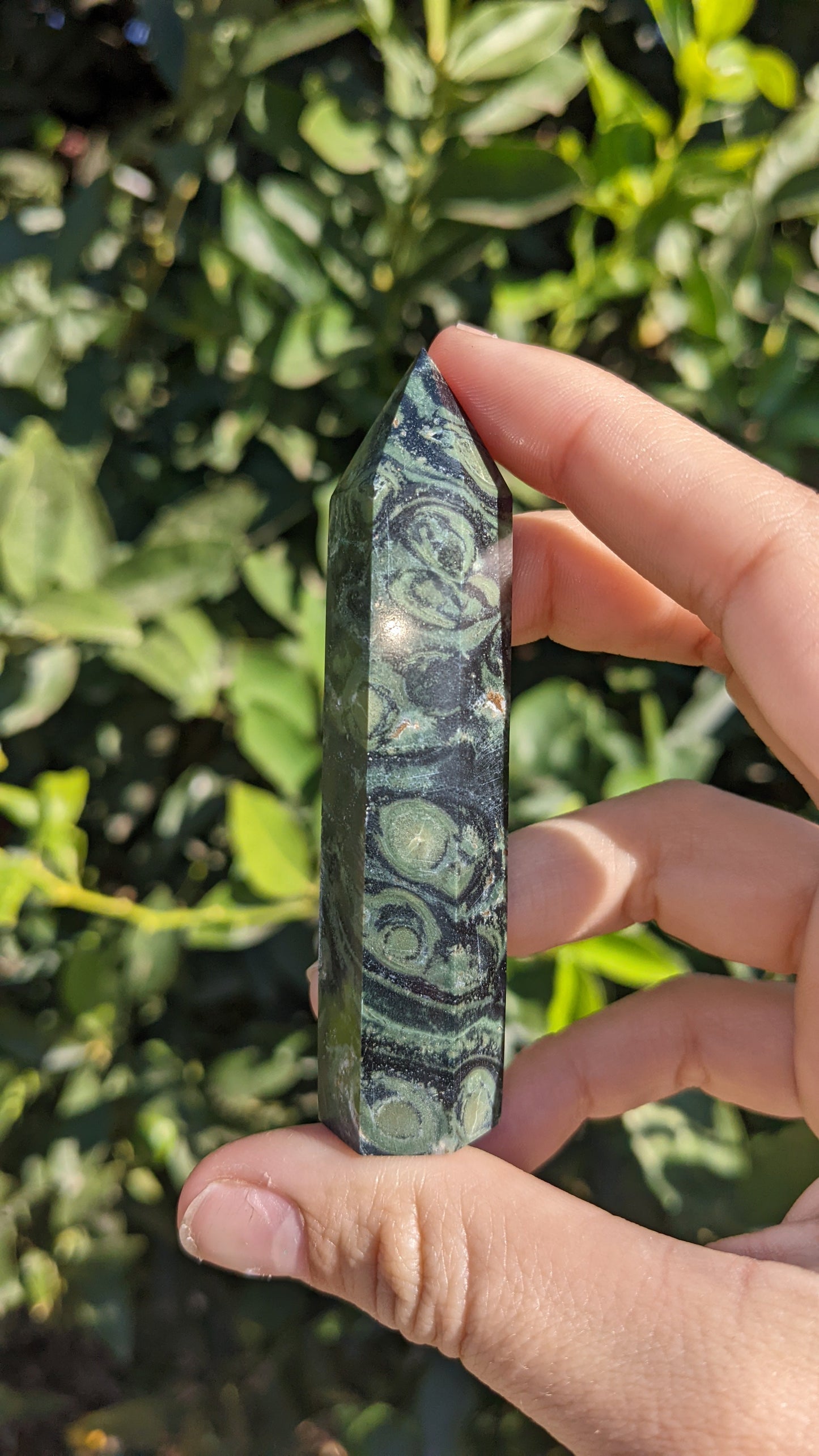 Kambaba Jasper Towers