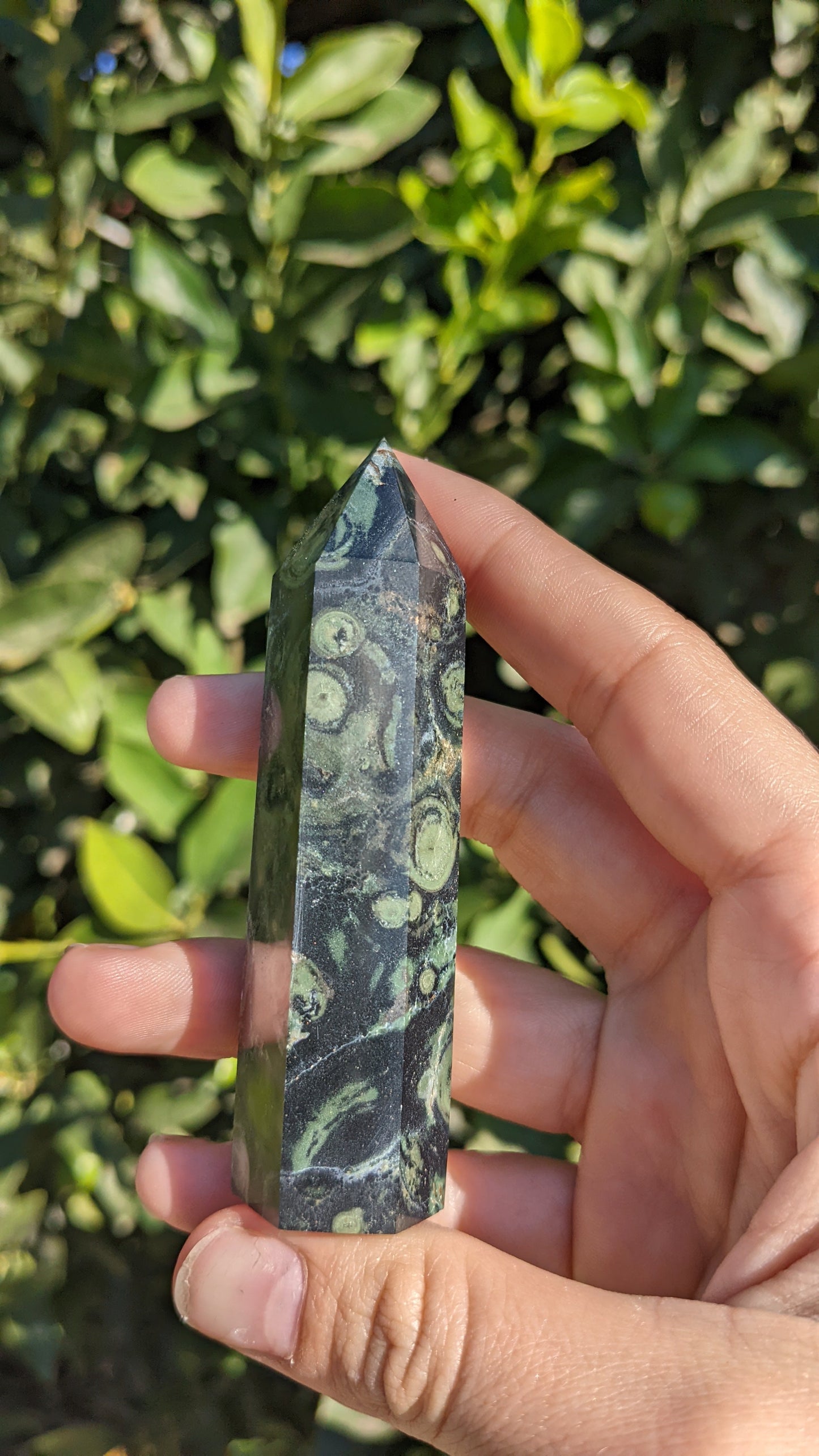 Kambaba Jasper Towers