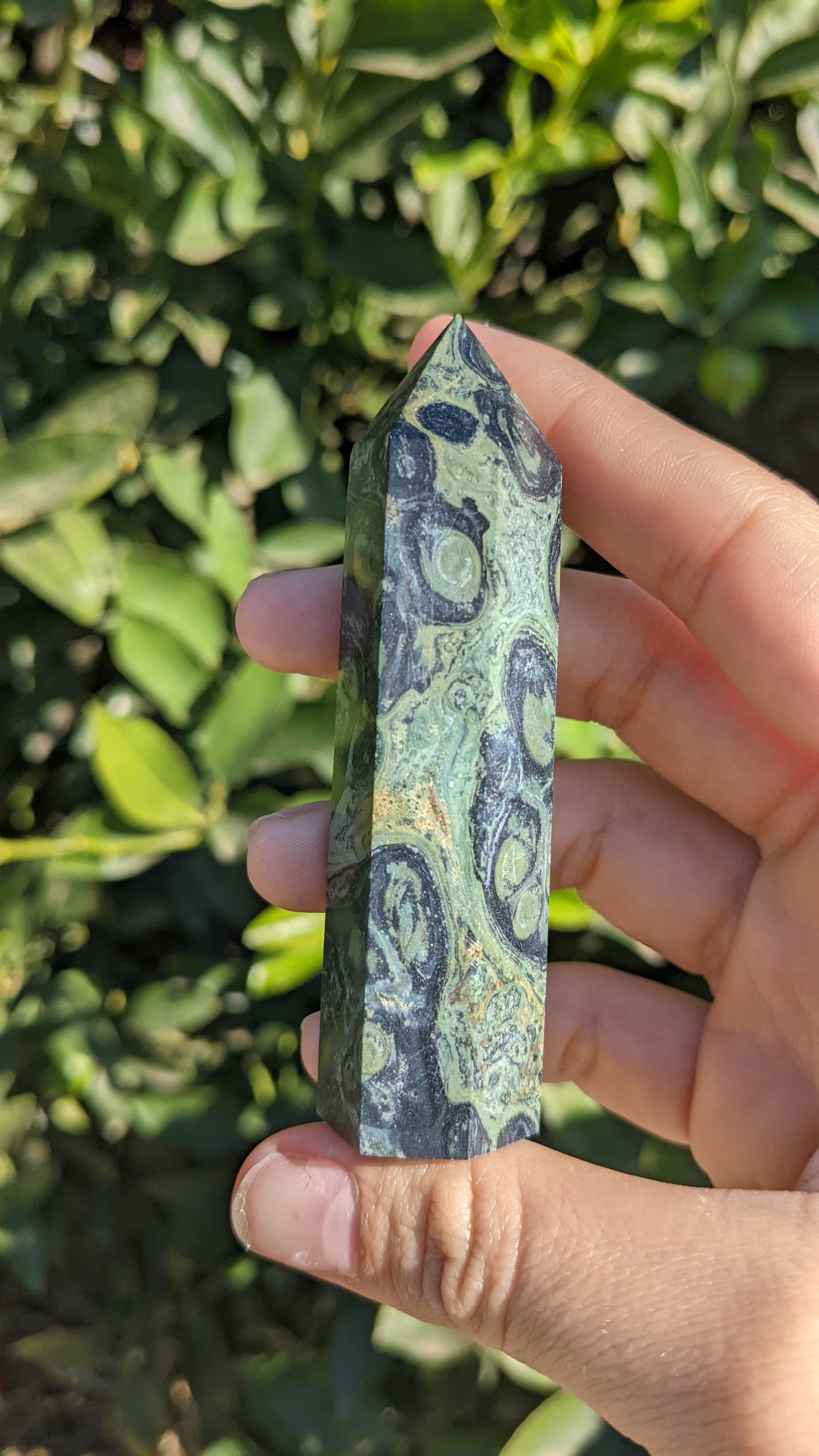 Kambaba Jasper Towers