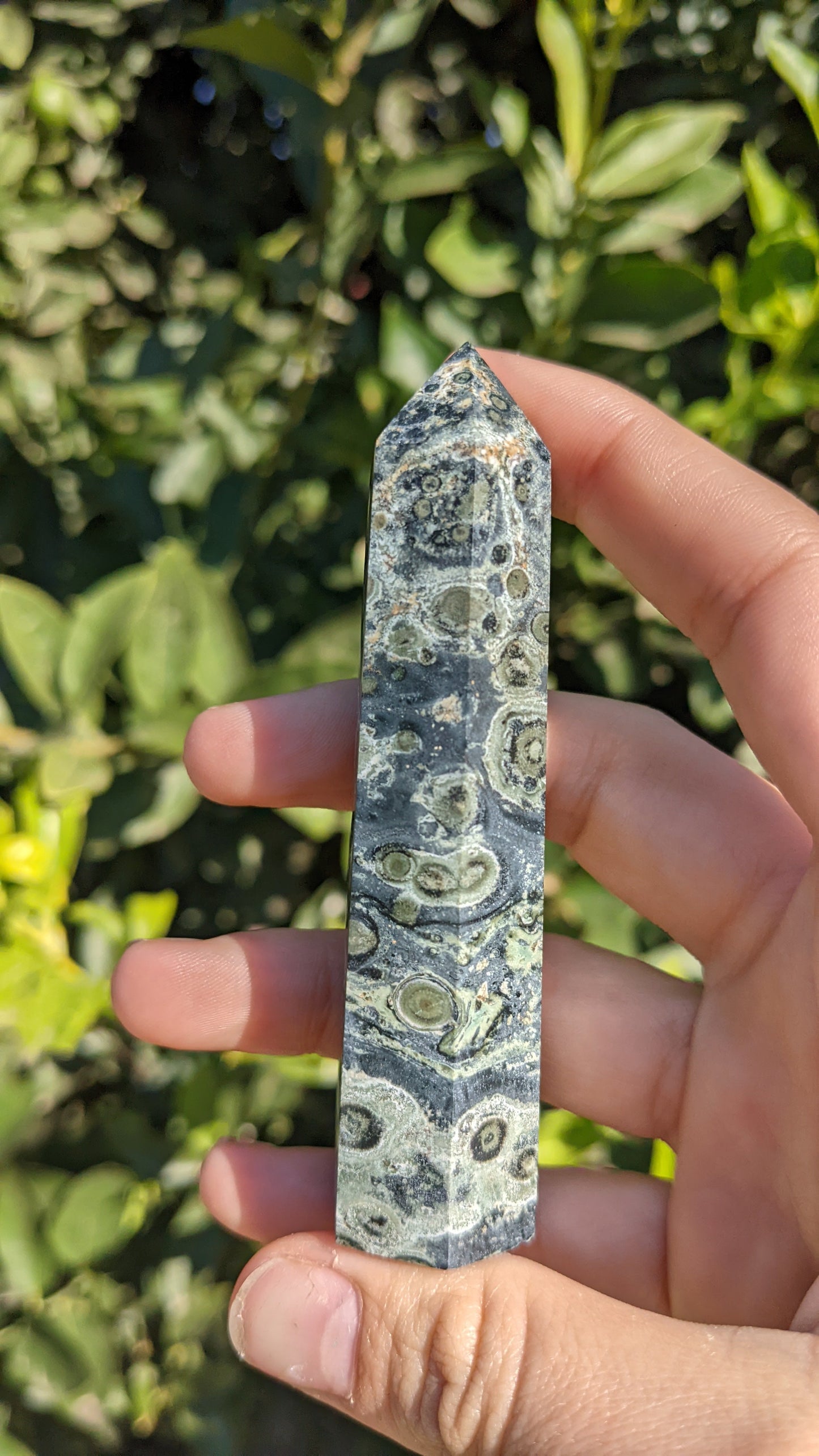 Kambaba Jasper Towers