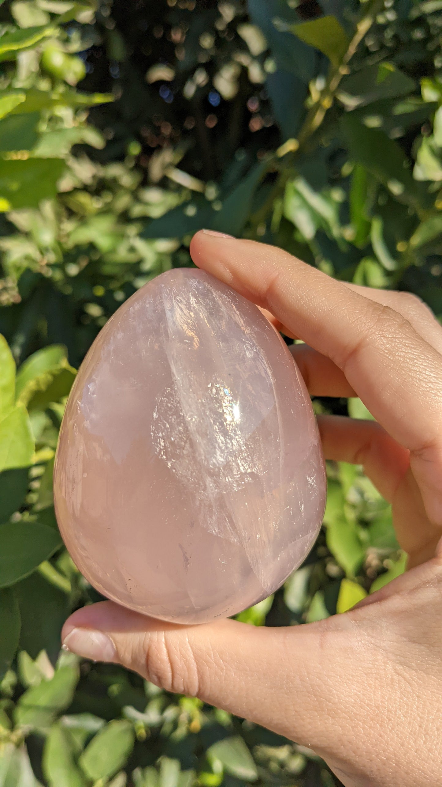 Rose Quartz Eggs