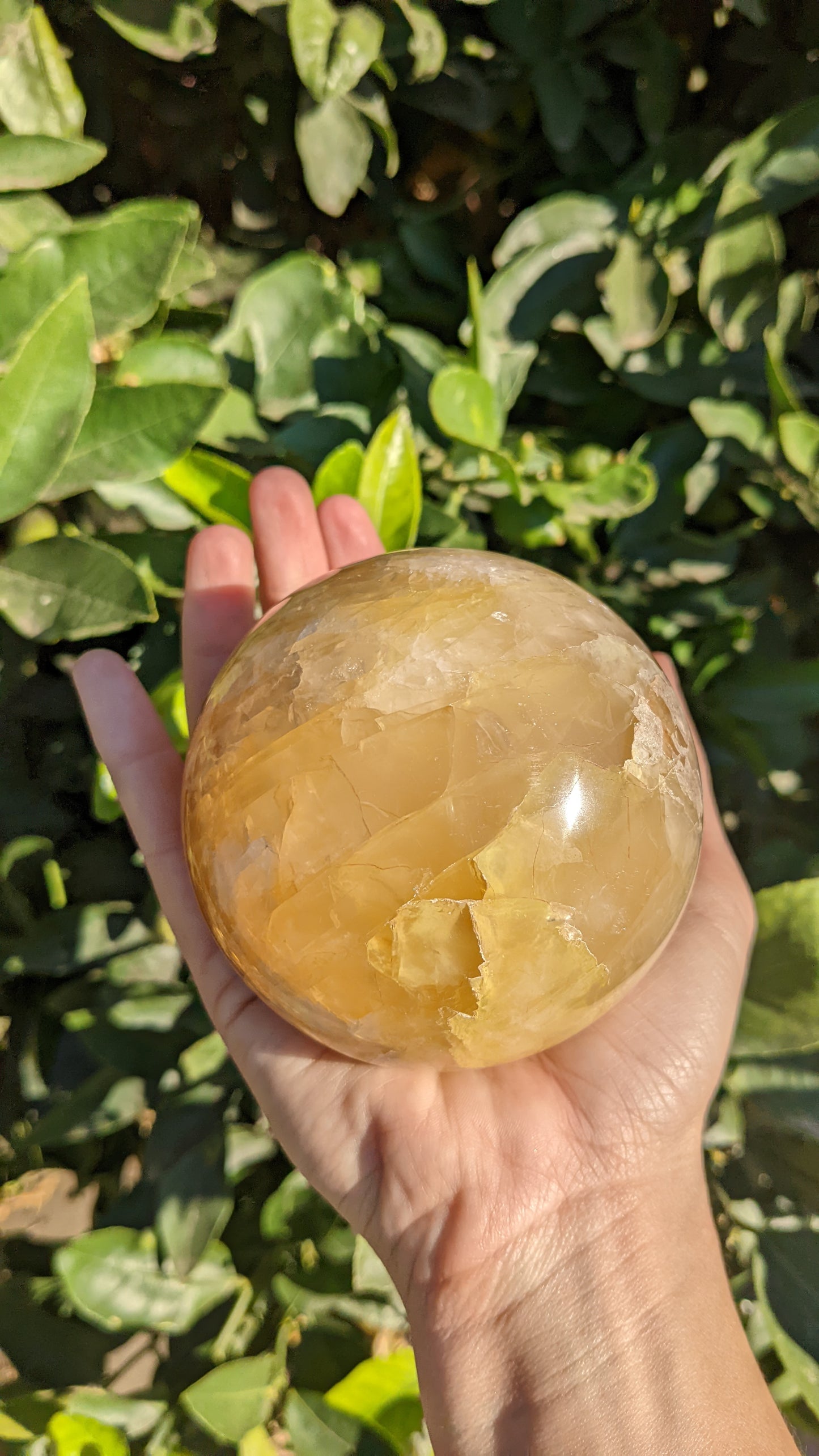 Golden Healer Quartz Spheres
