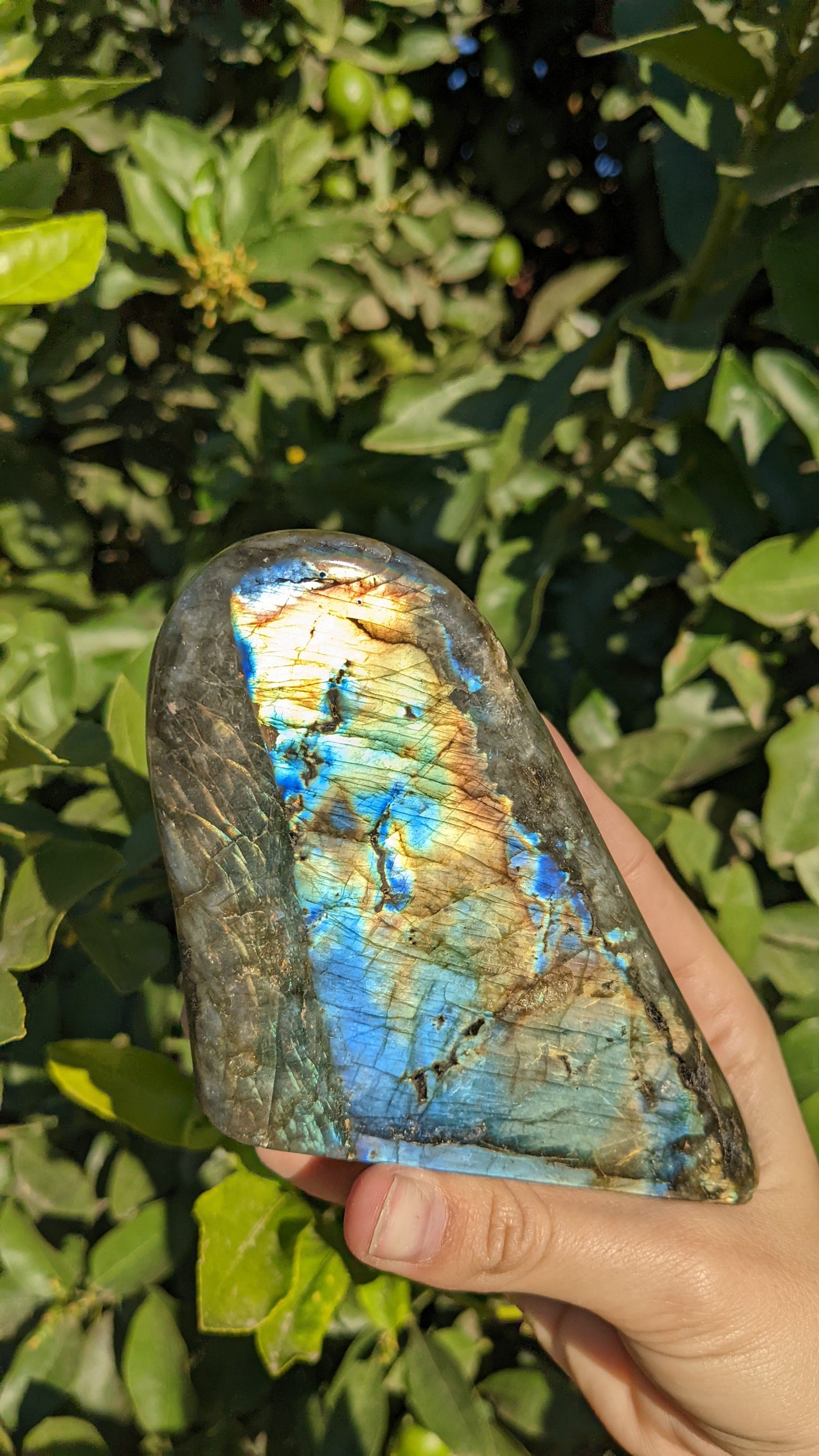 Labradorite Freeform C