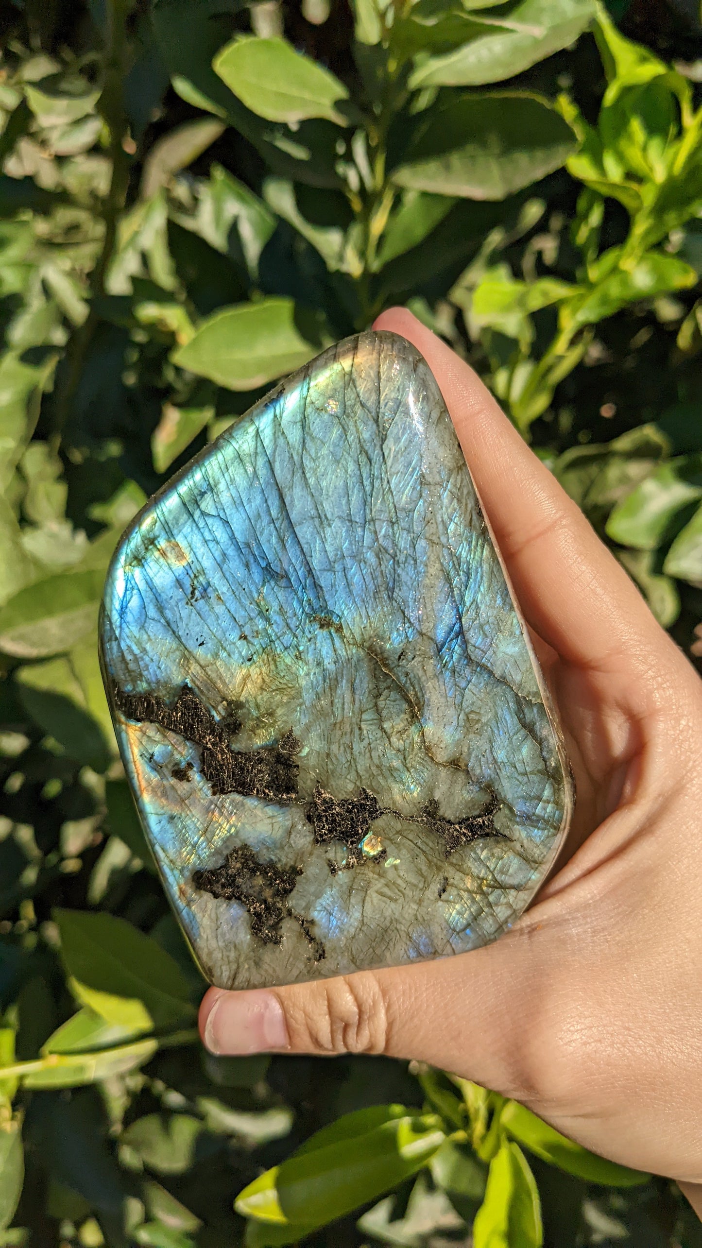 Labradorite Freeform D