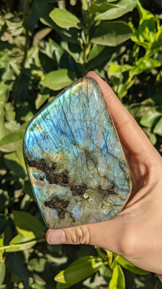 Labradorite Freeform D
