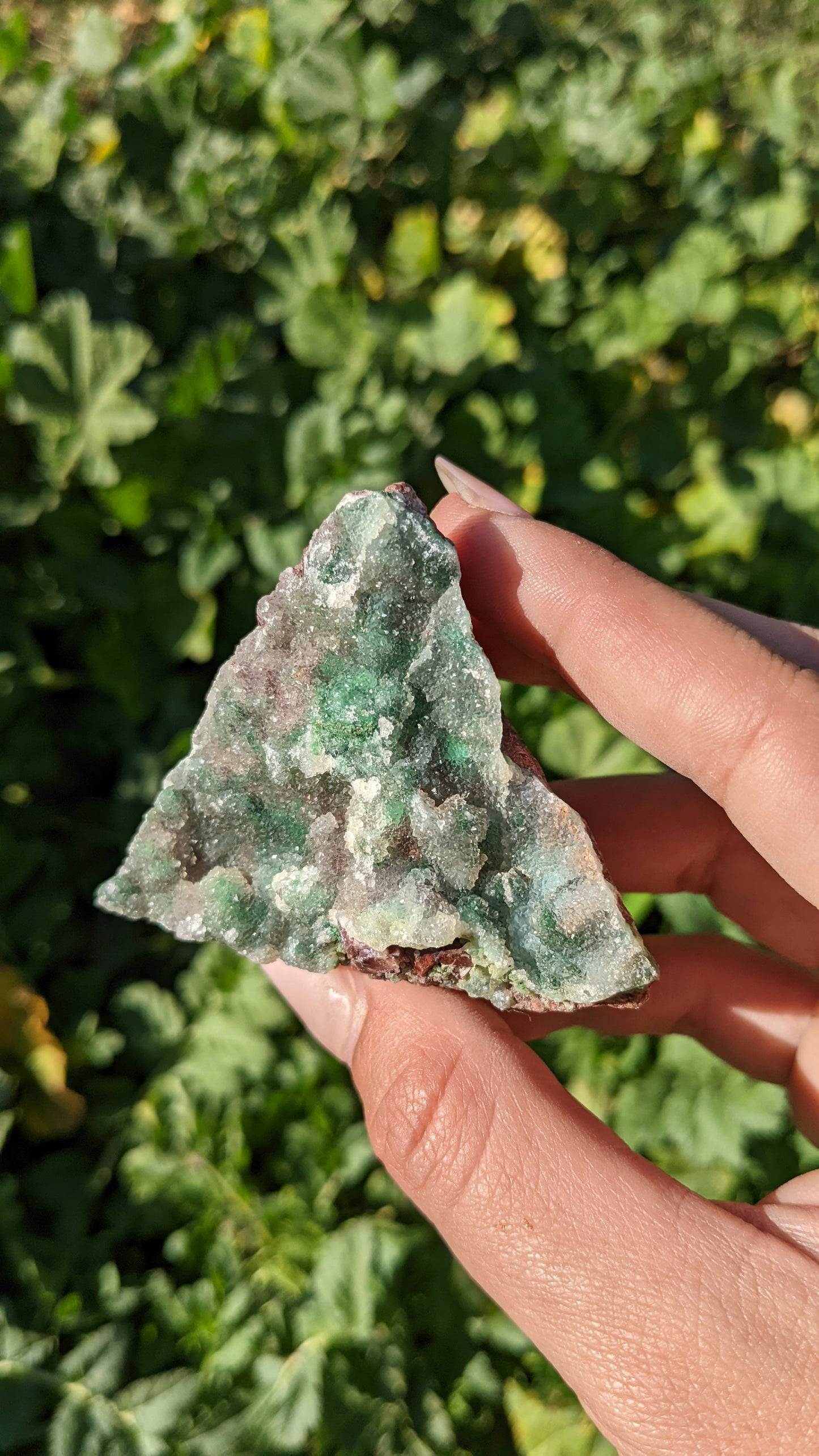 Druzy Dolomite Specimens