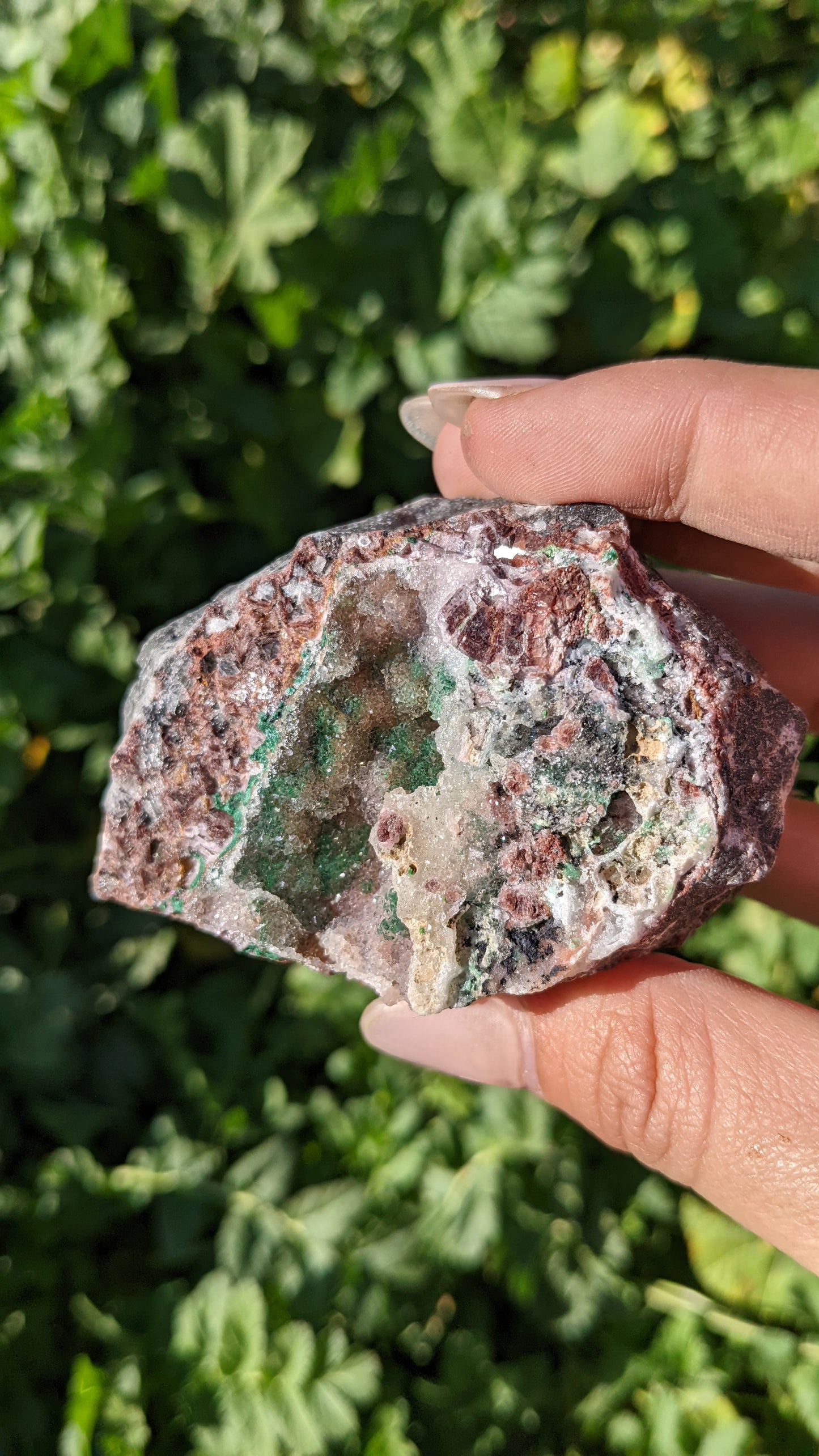 Druzy Dolomite Specimens