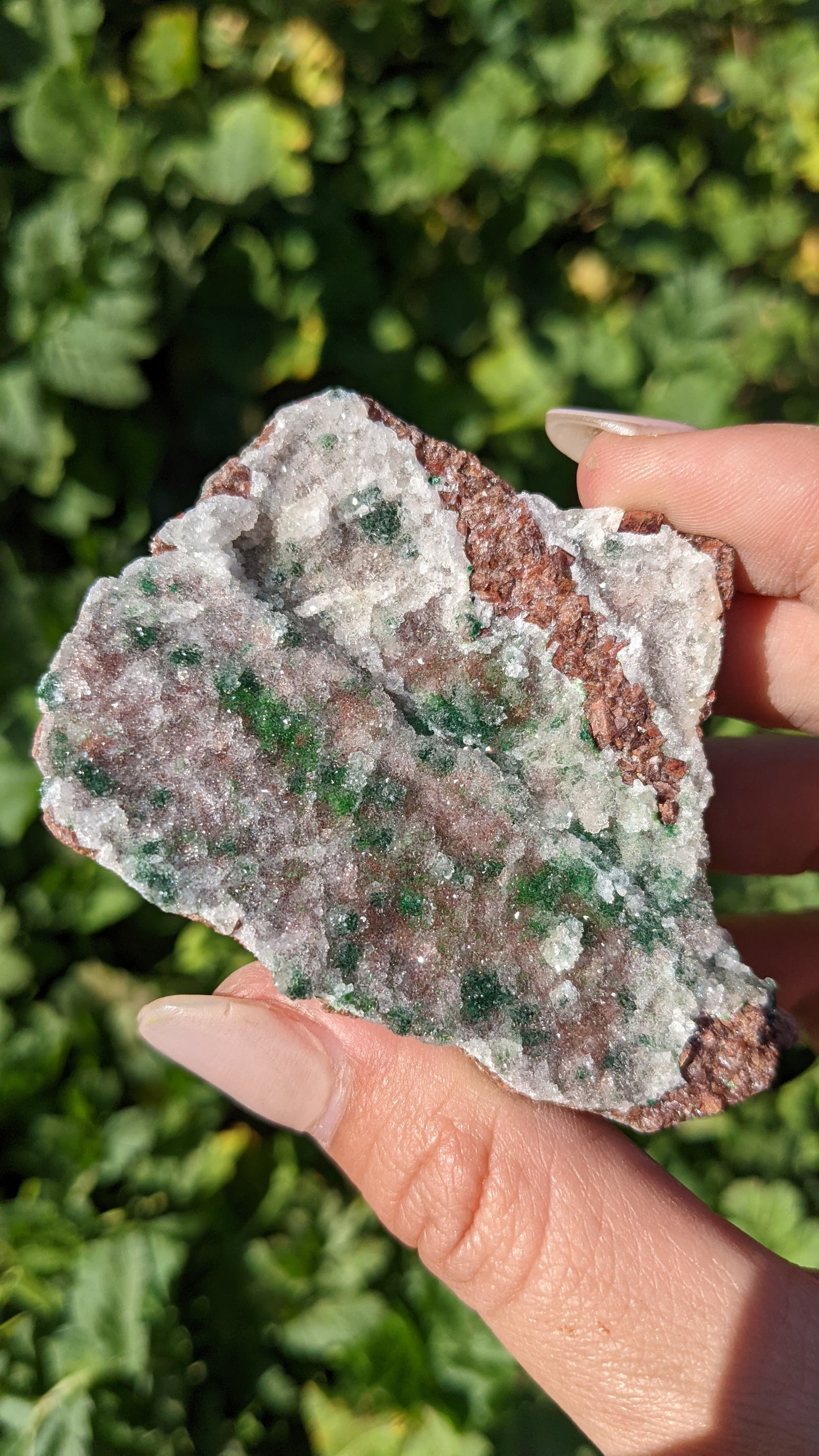 Druzy Dolomite Specimens