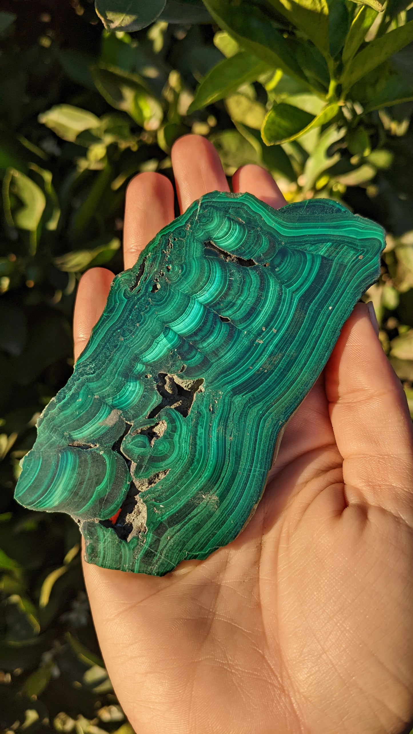 Malachite Slabs