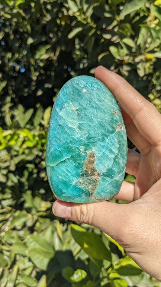 Amazonite Freeform