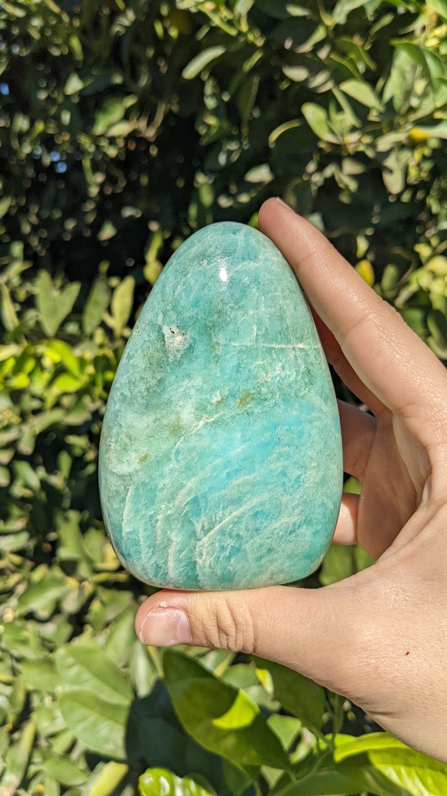 Amazonite Freeform