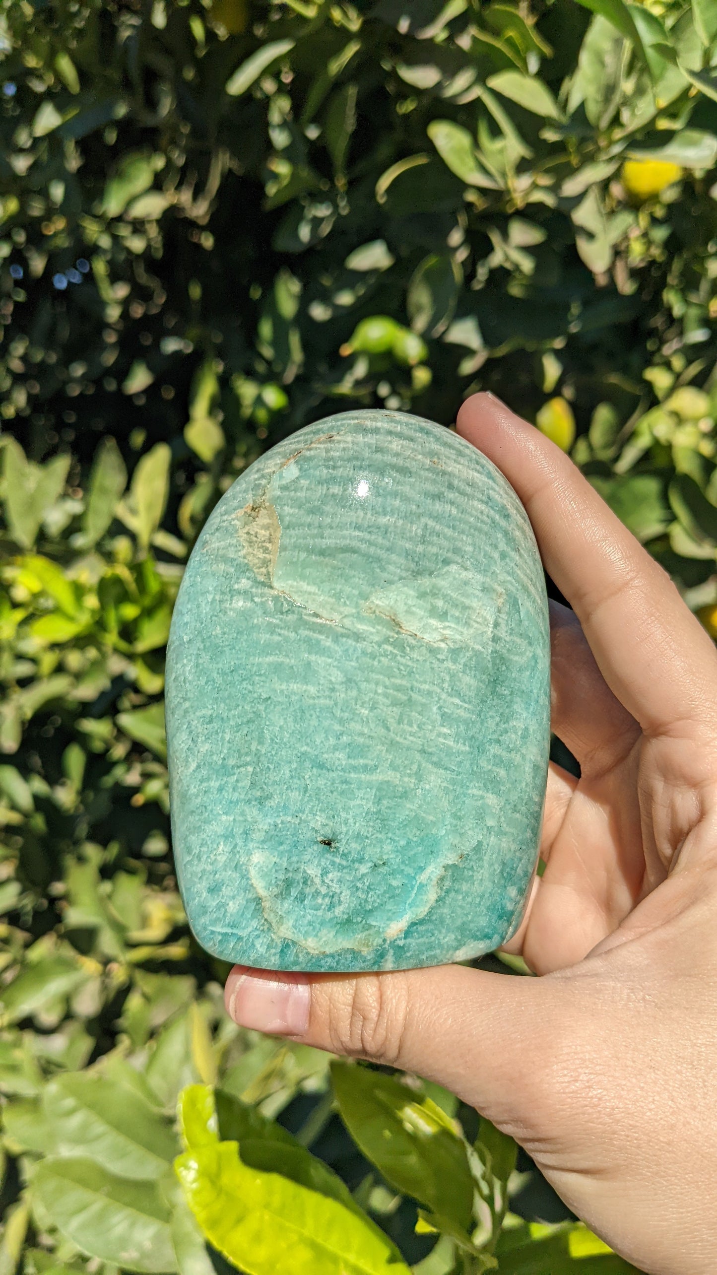 Amazonite Freeform