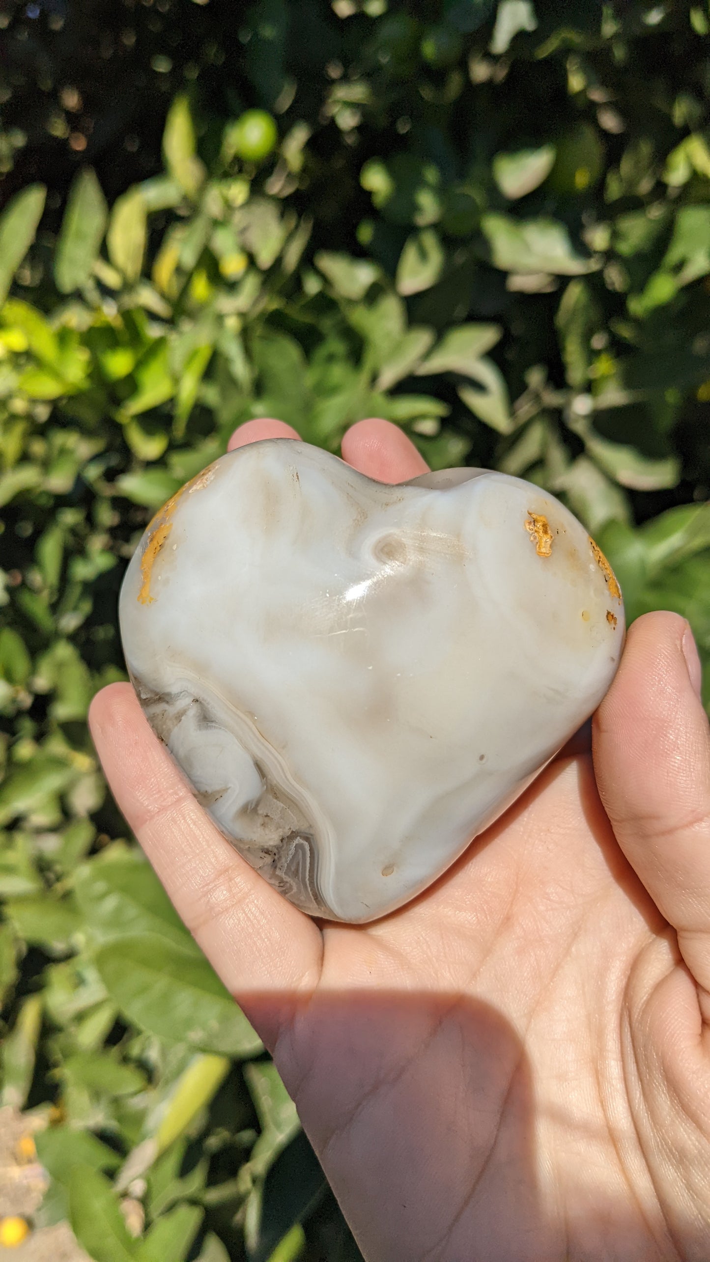 Agate Hearts