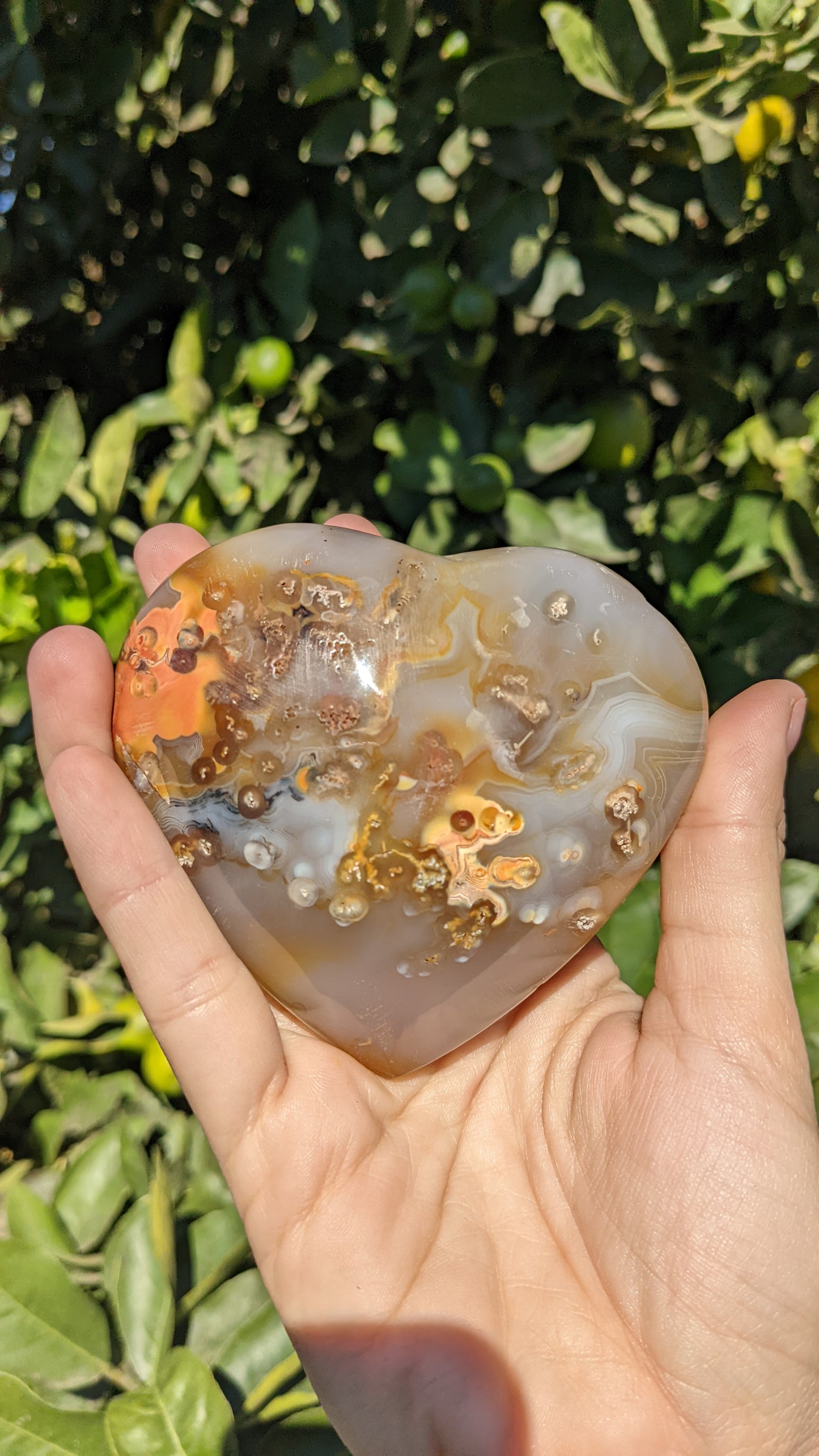 Agate Hearts