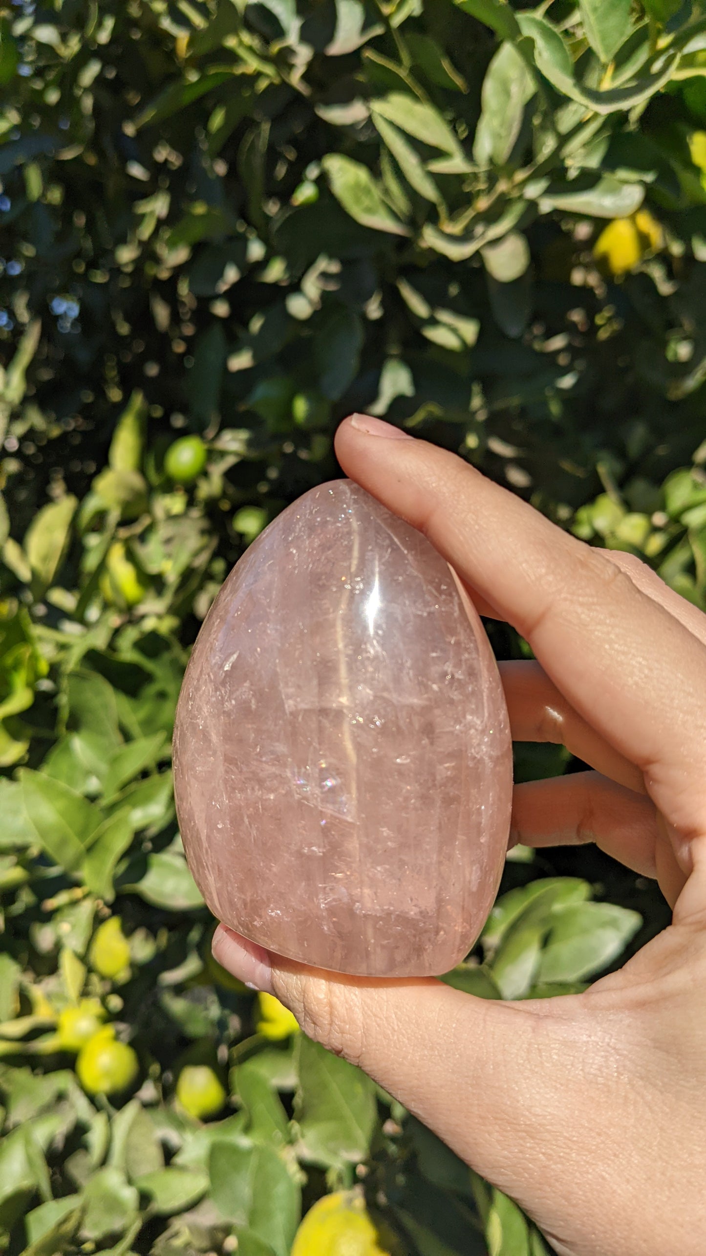 Rose Quartz Freeform