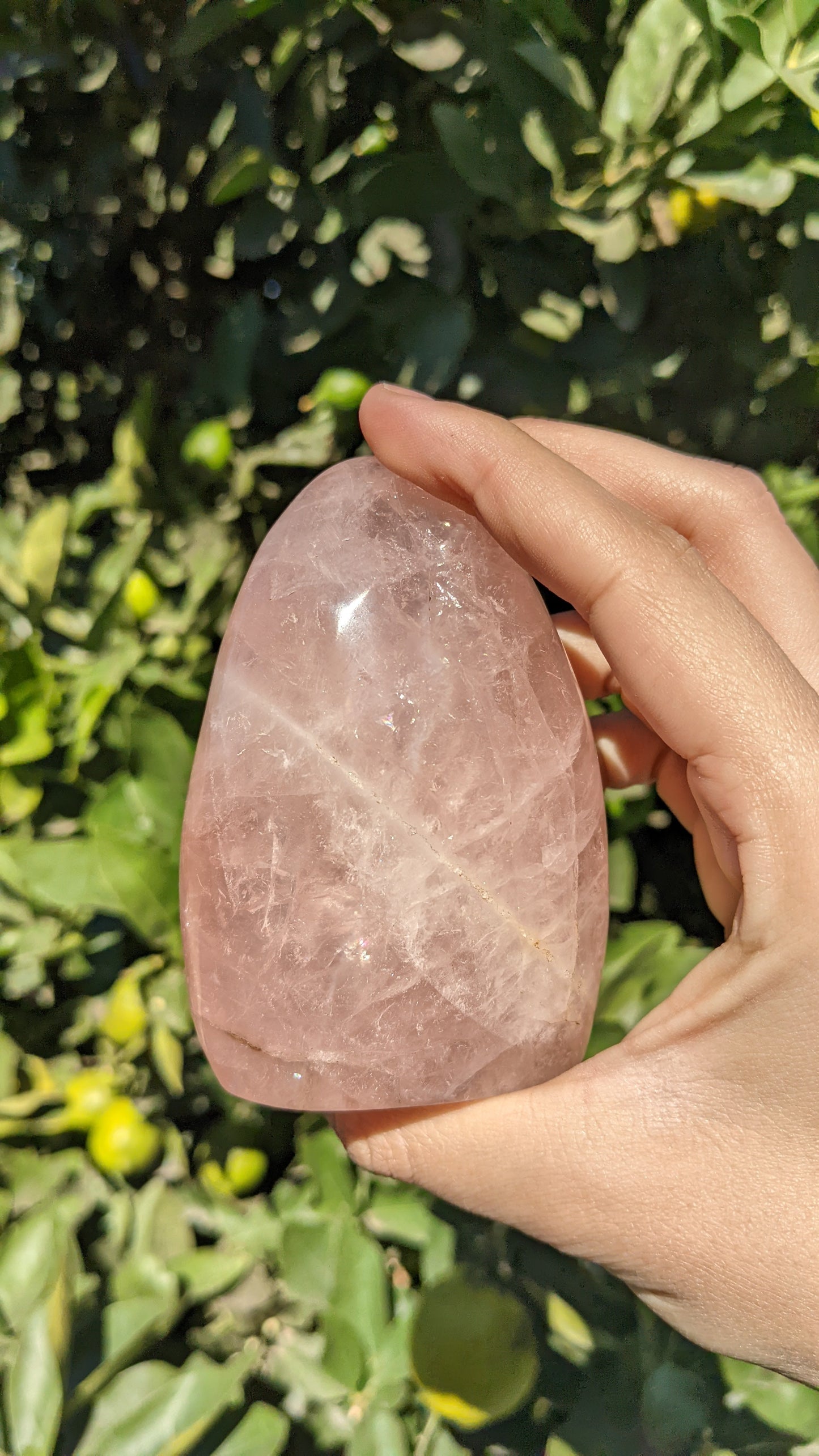 Rose Quartz Freeform