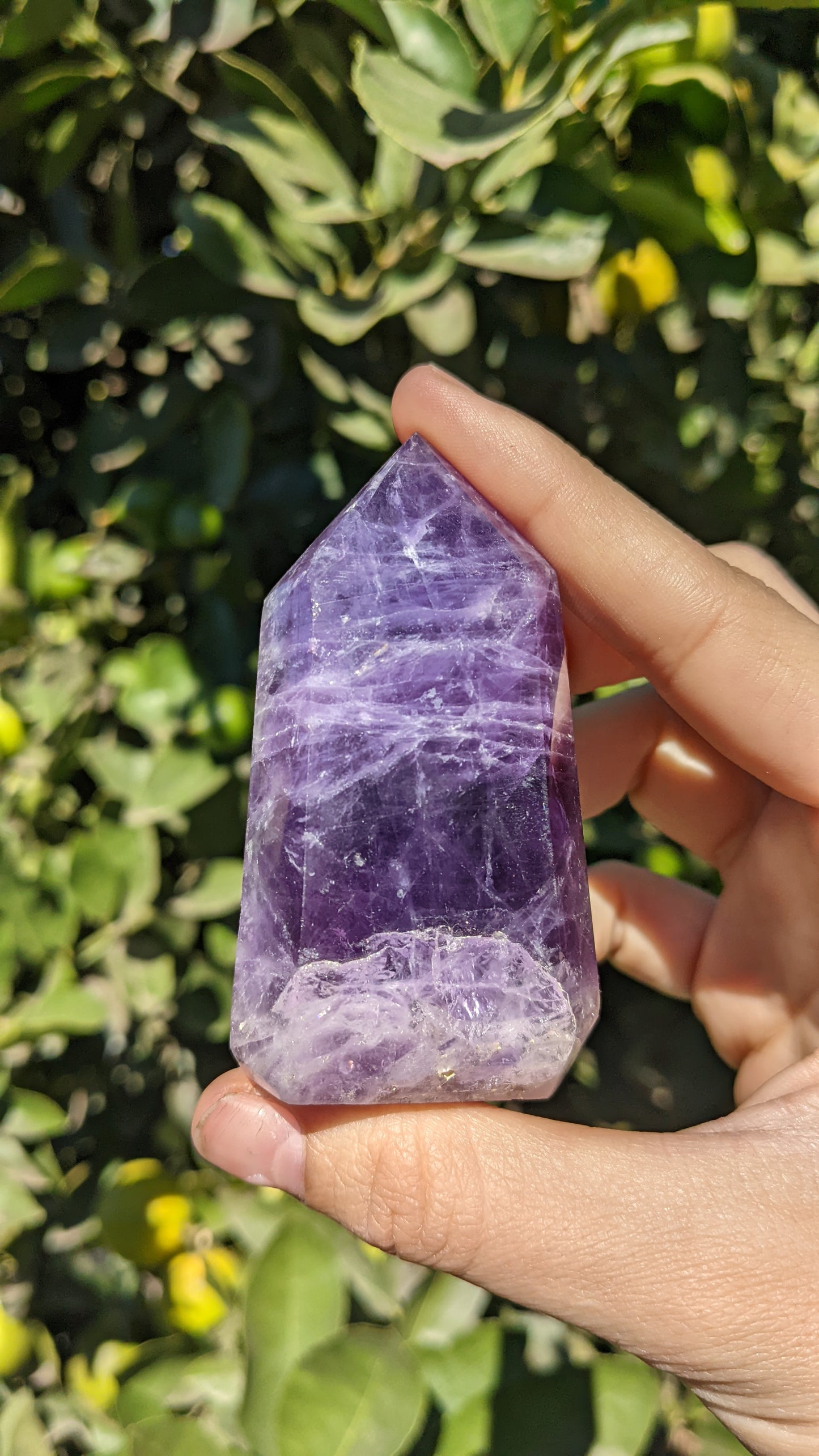 Chevron Amethyst Points