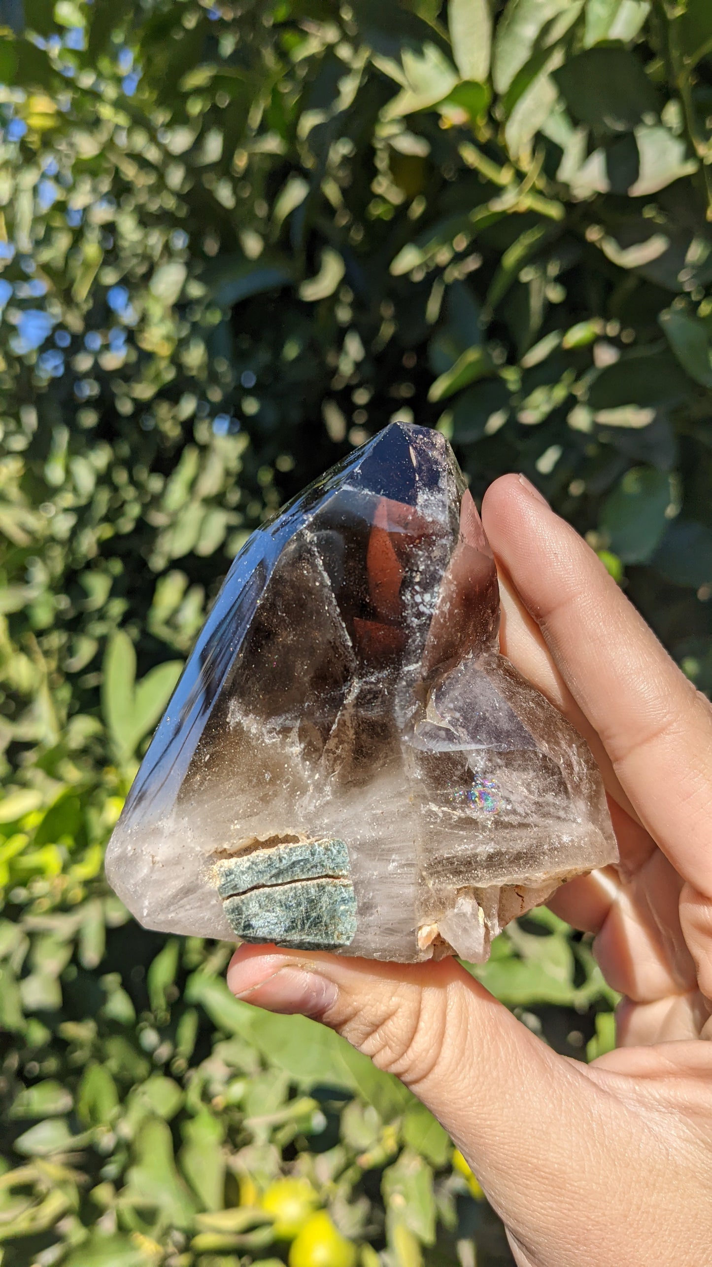 Smoky Quartz Points