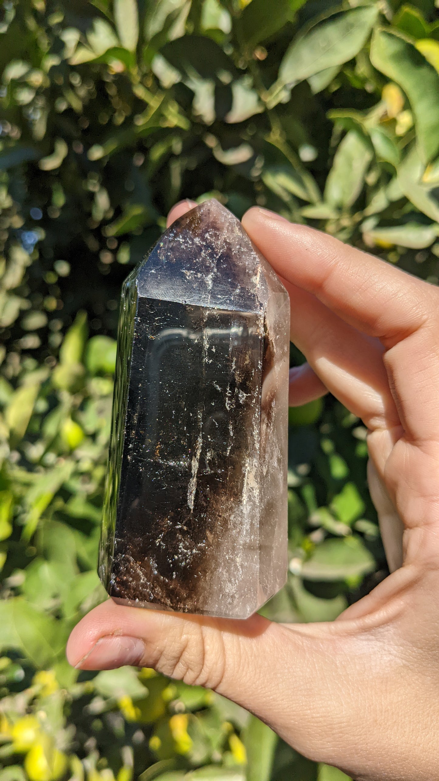 Smoky Quartz Points