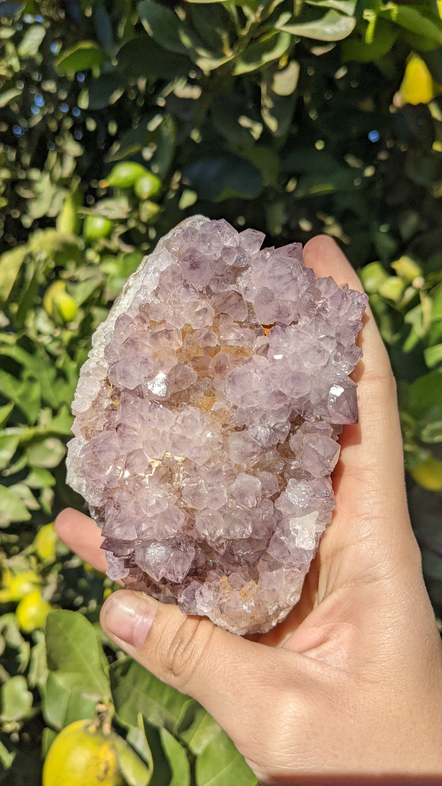 Amethyst Spirit Quartz Clusters