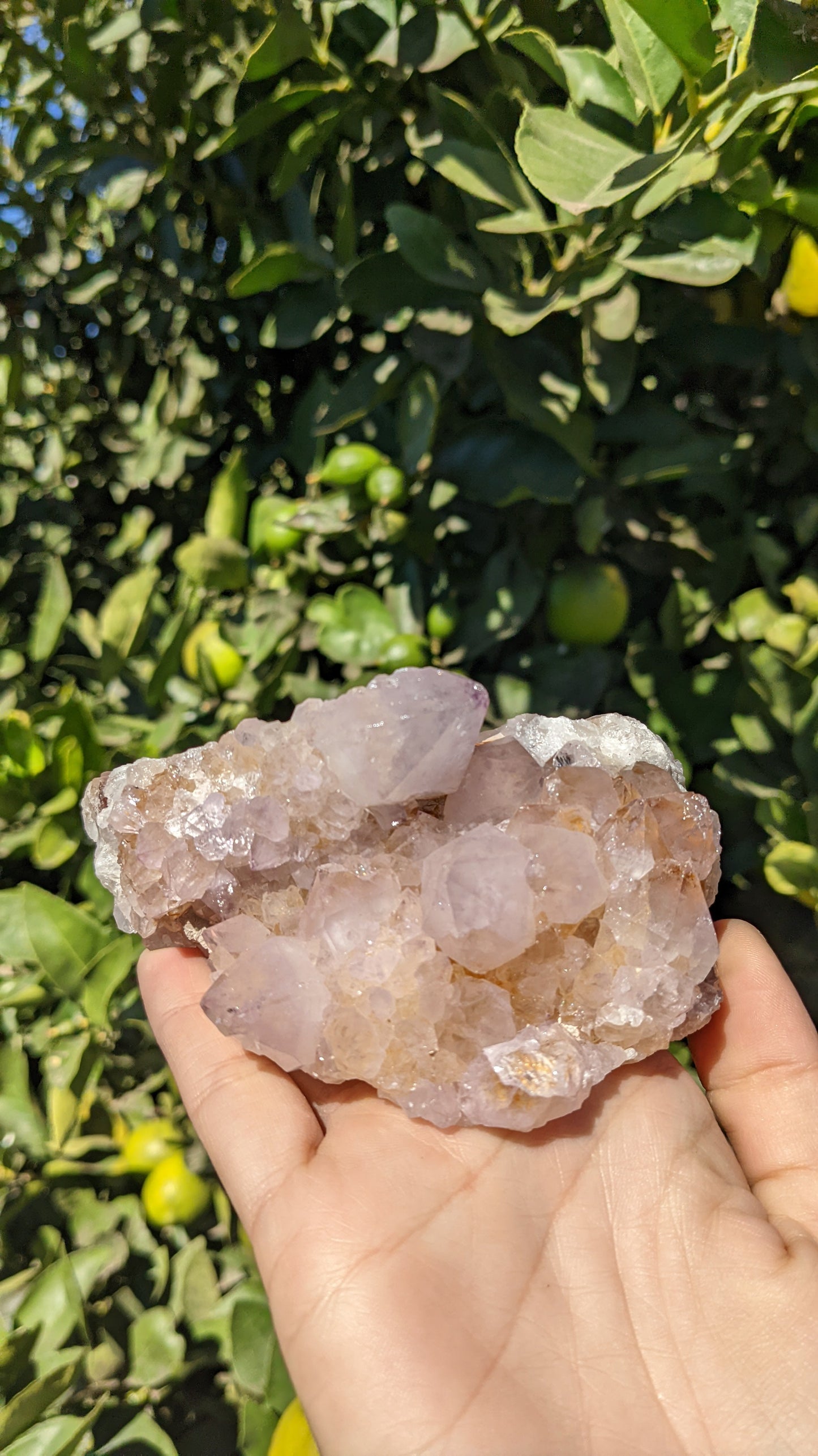 Amethyst Spirit Quartz Clusters