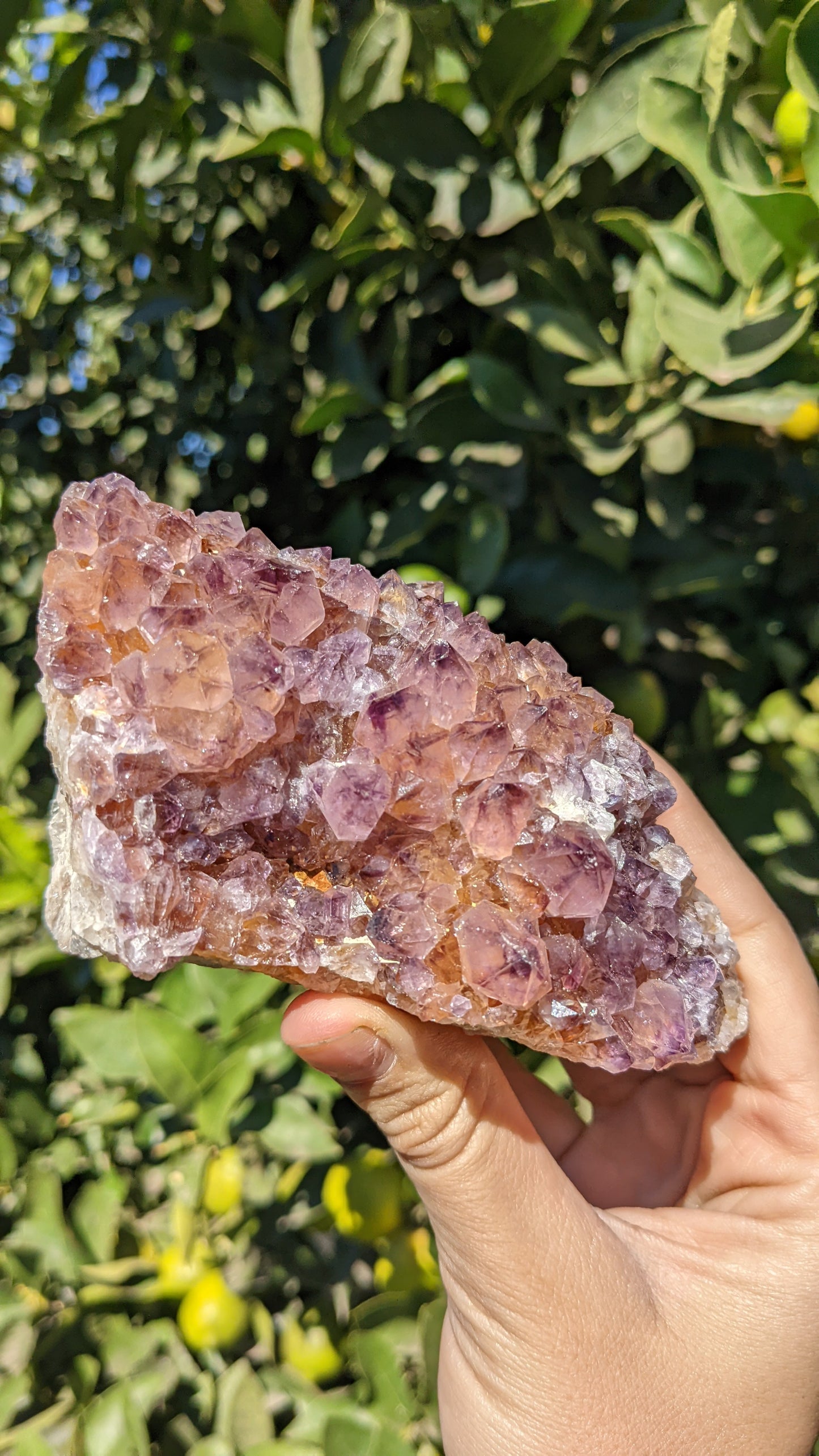 Amethyst Spirit Quartz Clusters