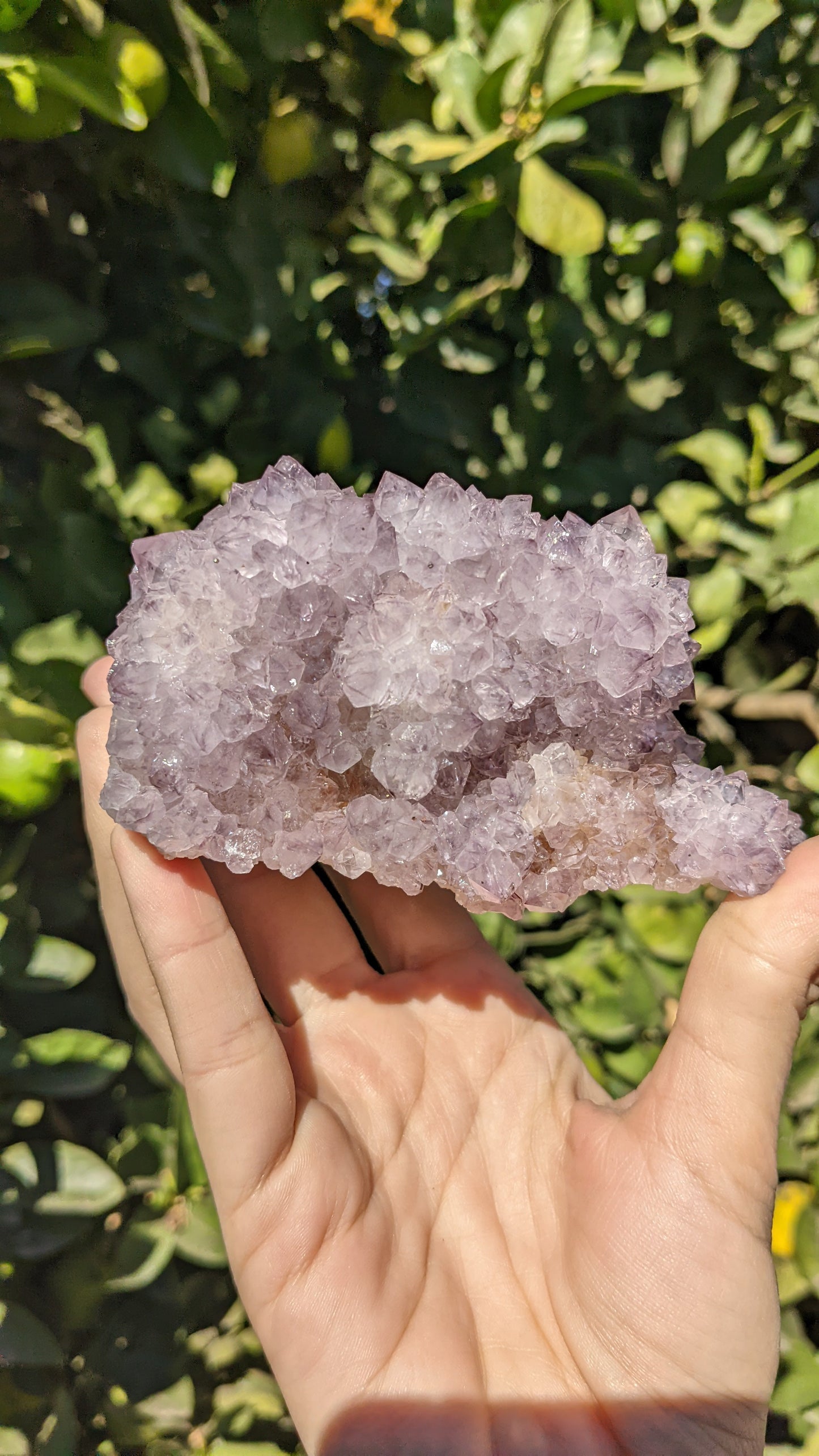 Amethyst Spirit Quartz Clusters