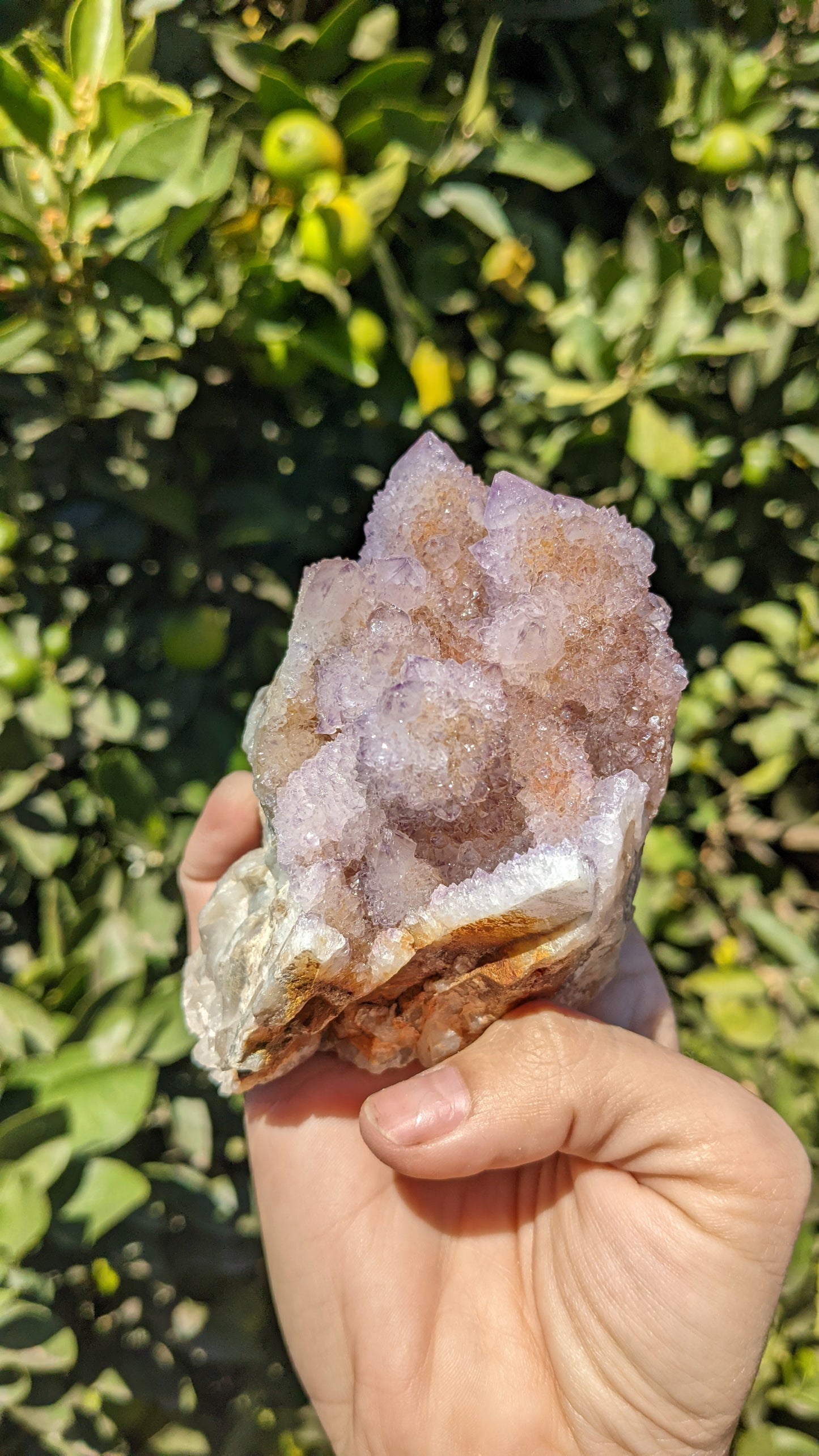 Amethyst Spirit Quartz Clusters