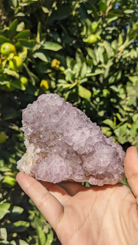 Amethyst Spirit Quartz Clusters