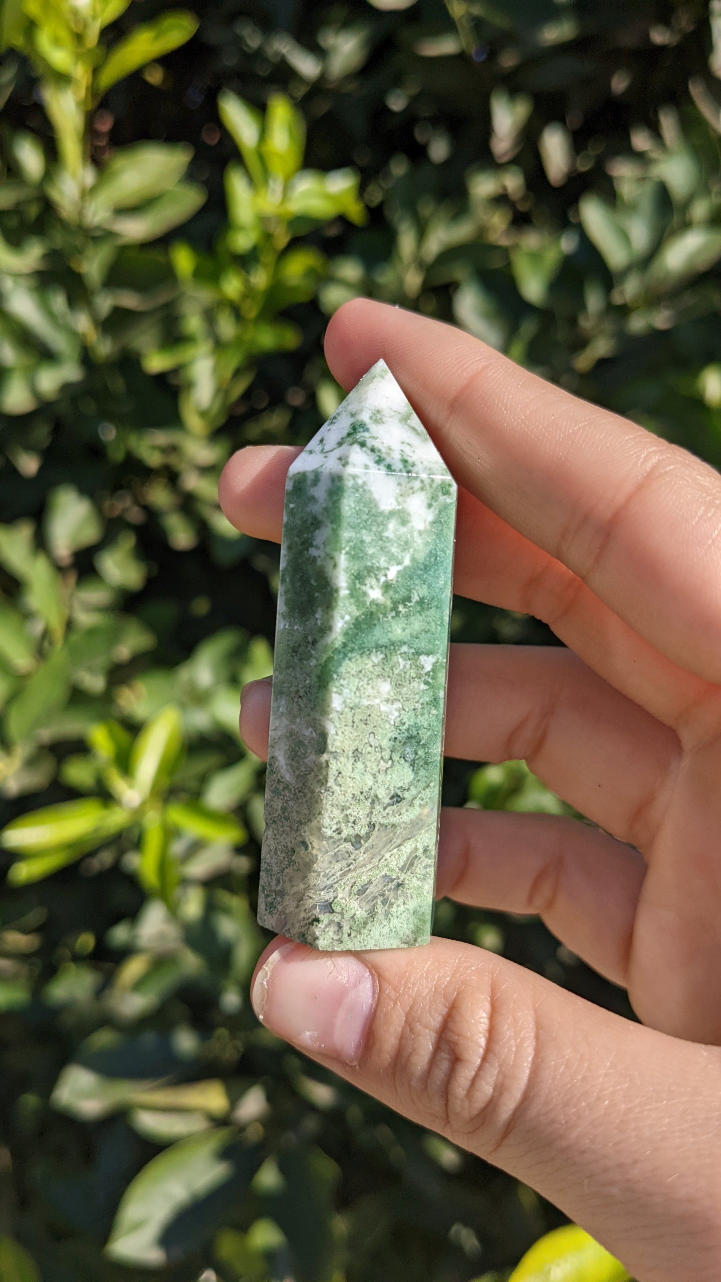 Moss Agate Towers