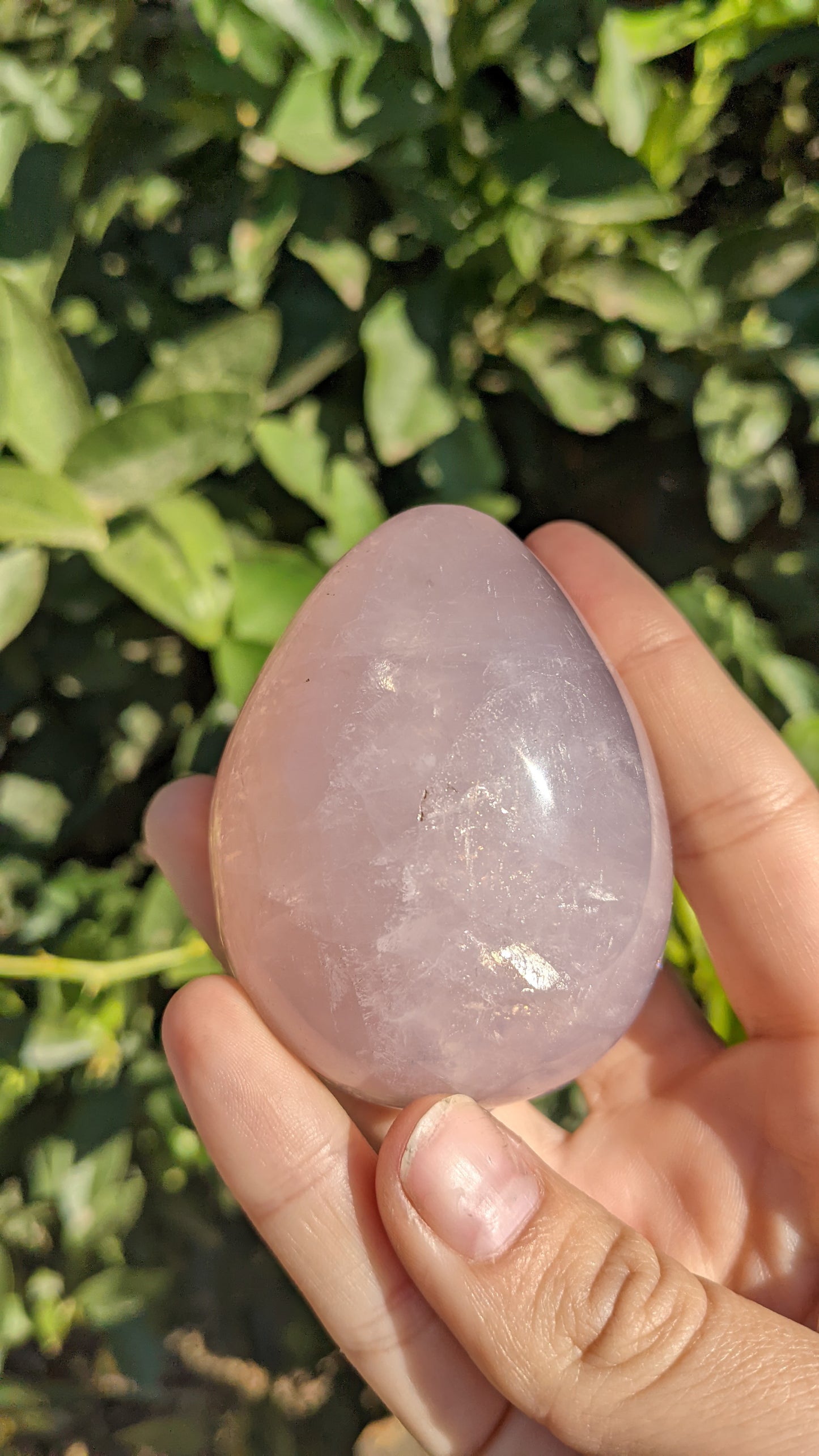 Rose Quartz Eggs