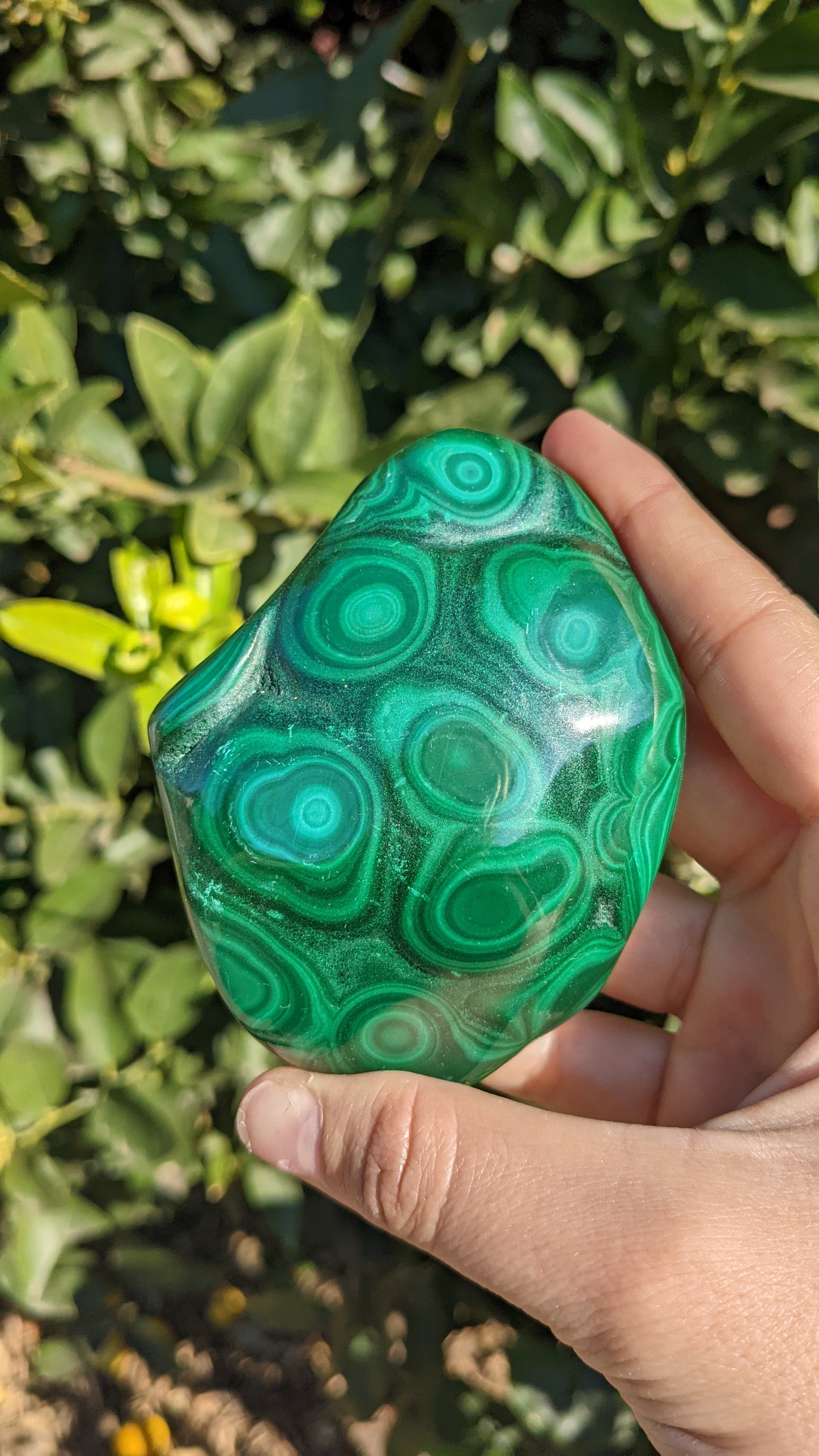 Malachite Freeforms