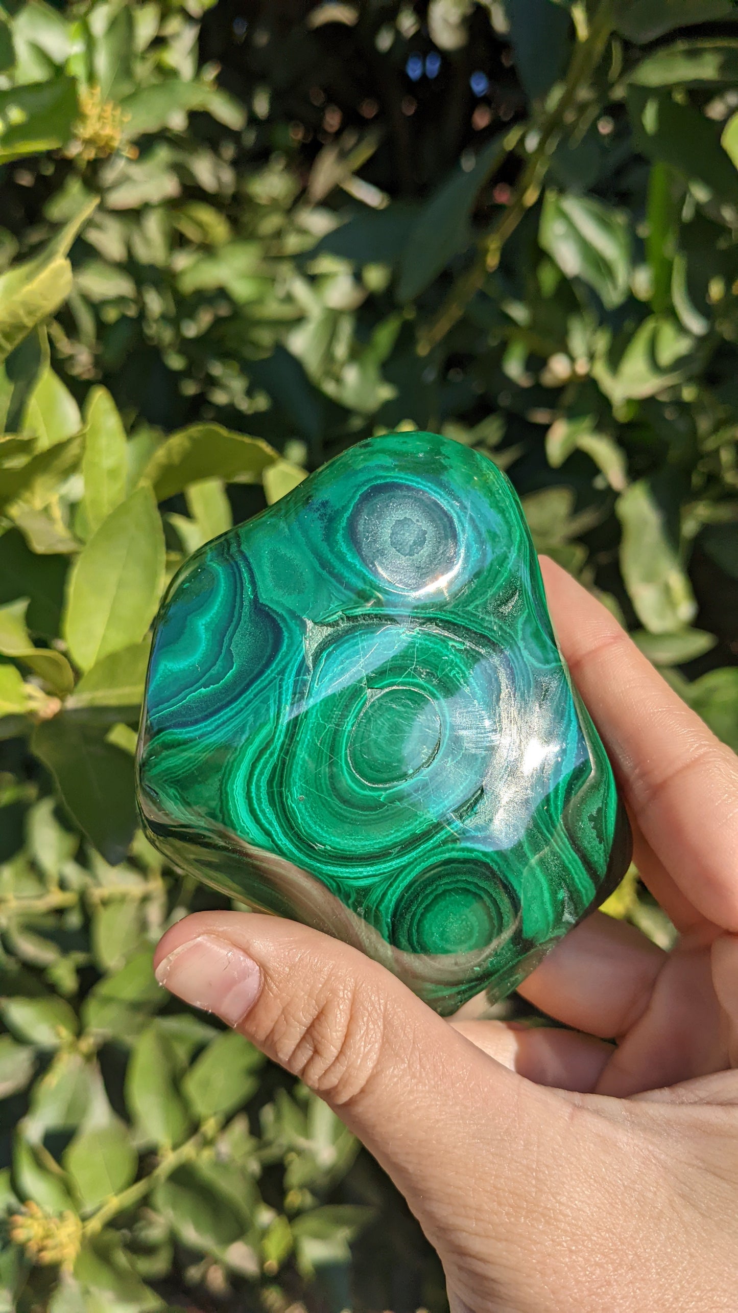 Malachite Freeforms