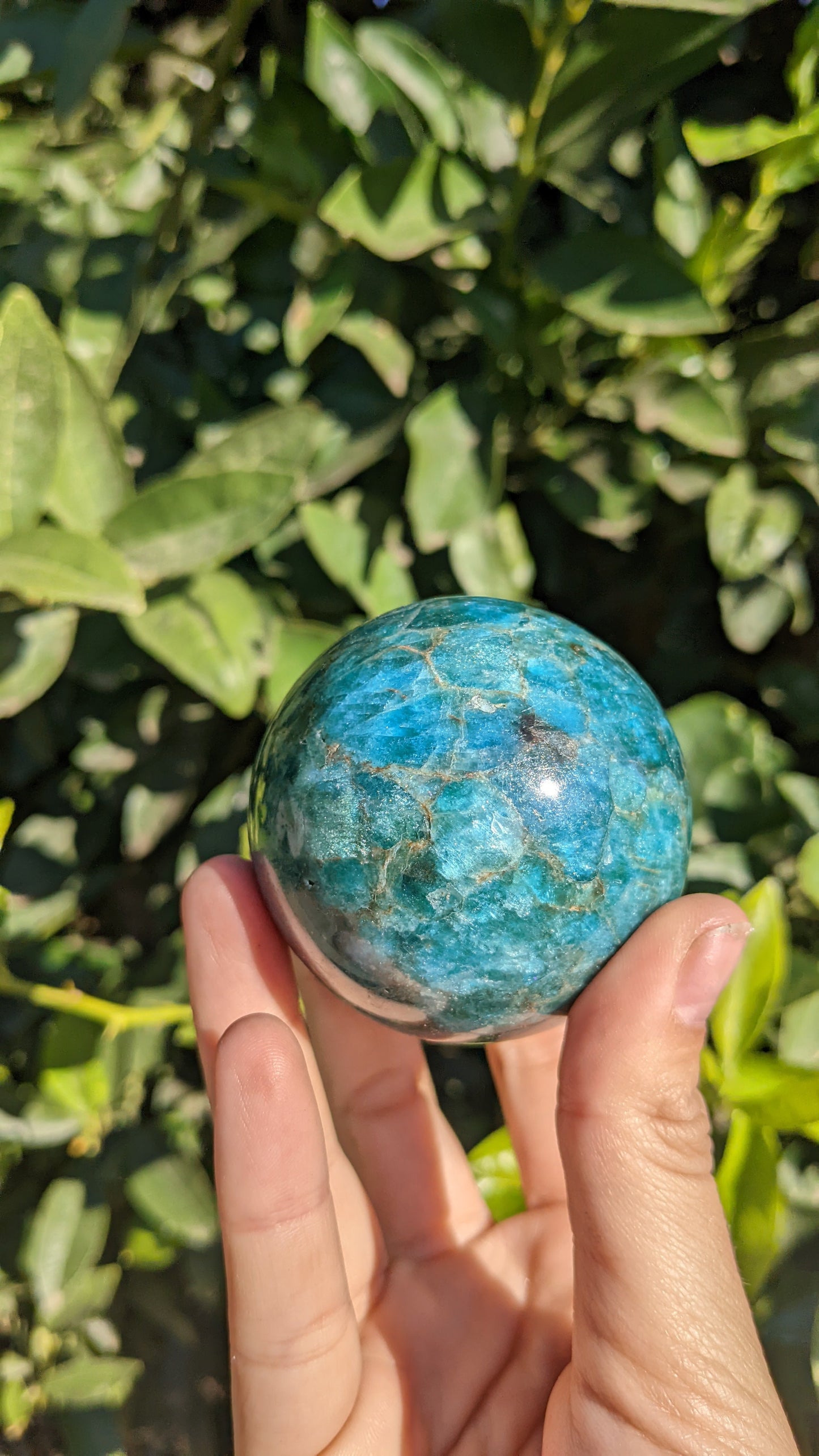 Apatite Sphere