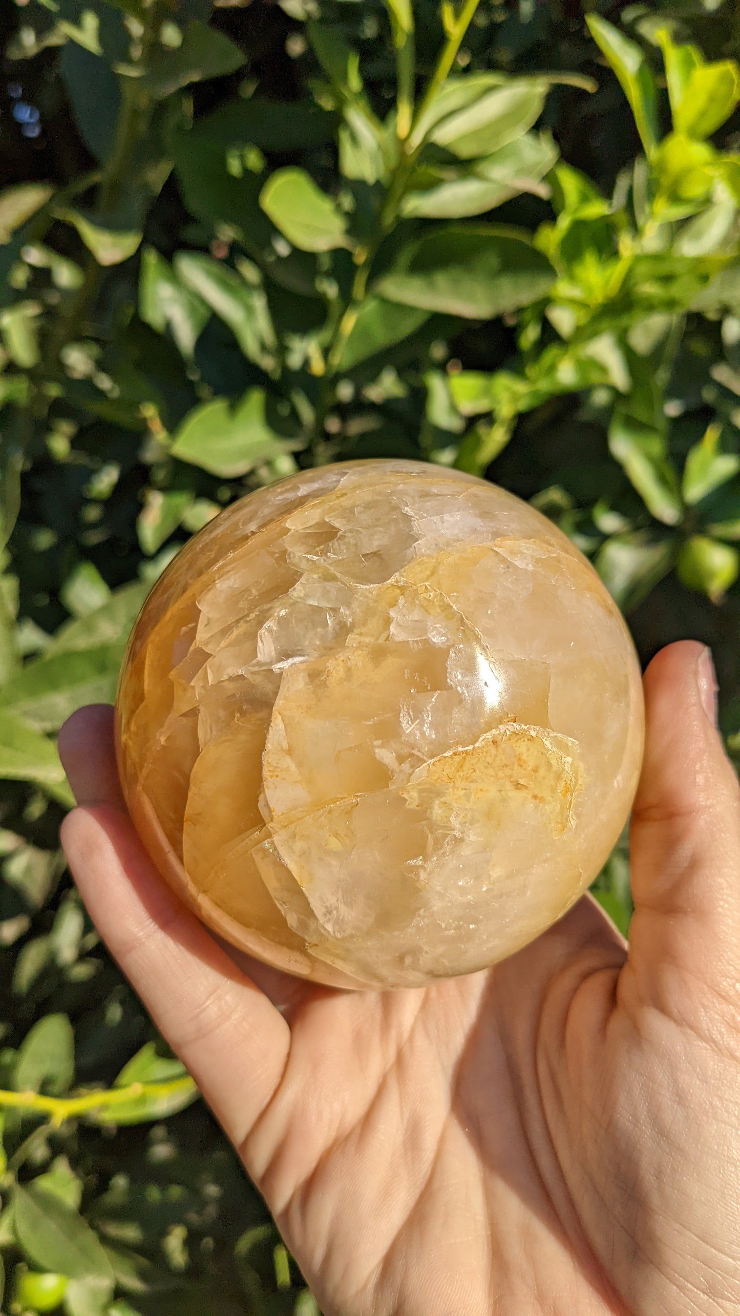 Golden Healer Quartz Spheres