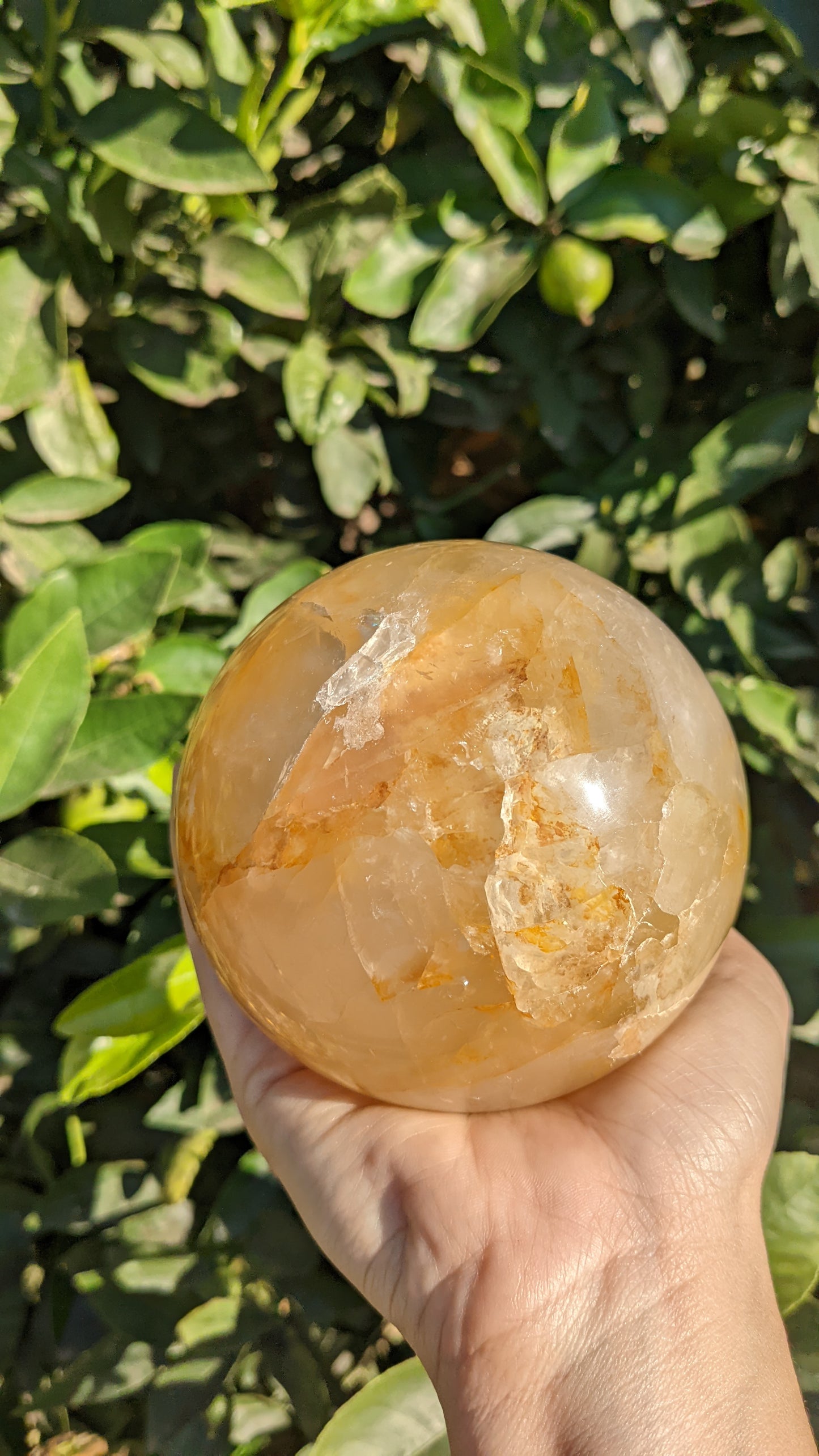 Golden Healer Quartz Spheres