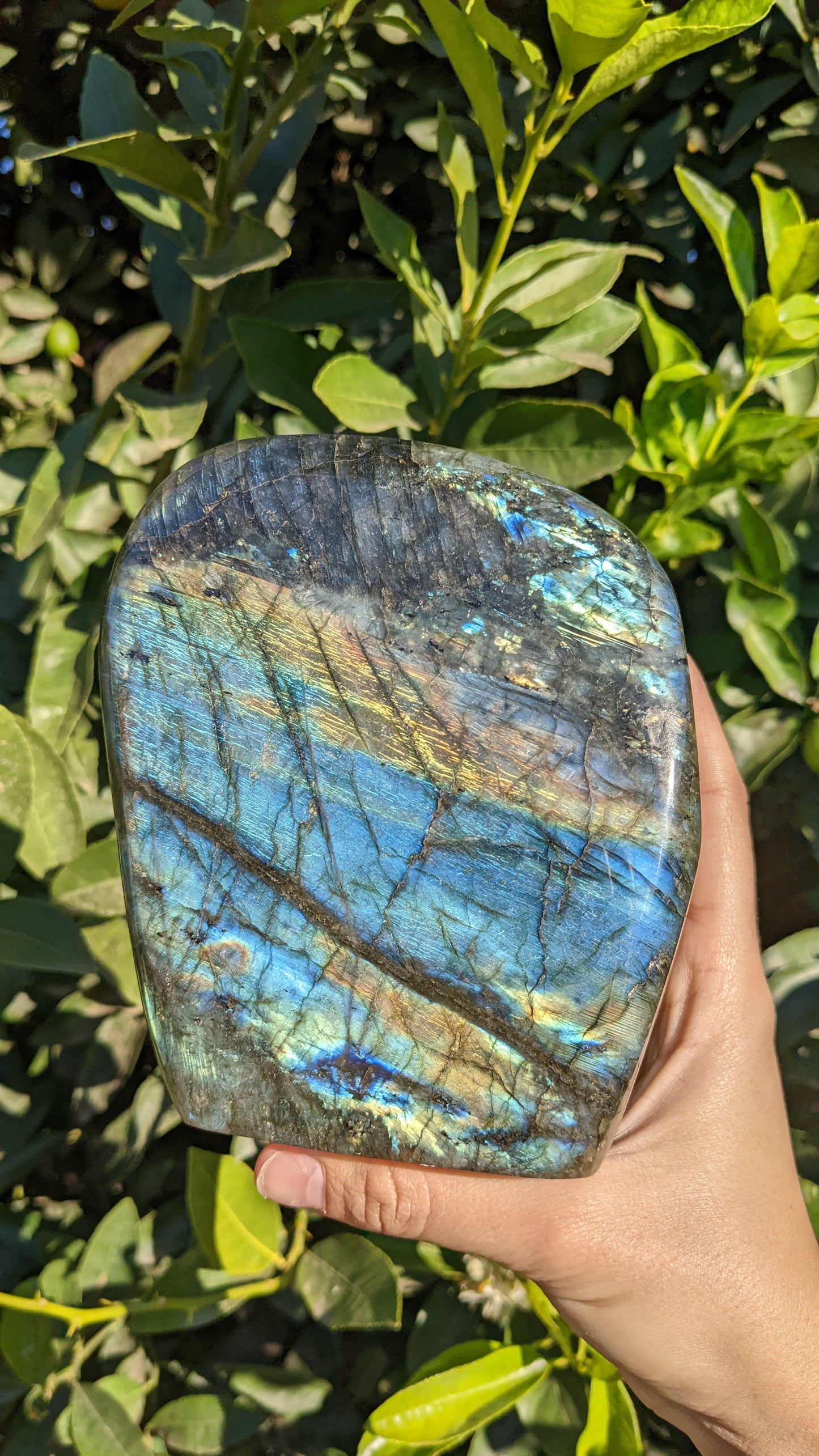 Labradorite Freeform F