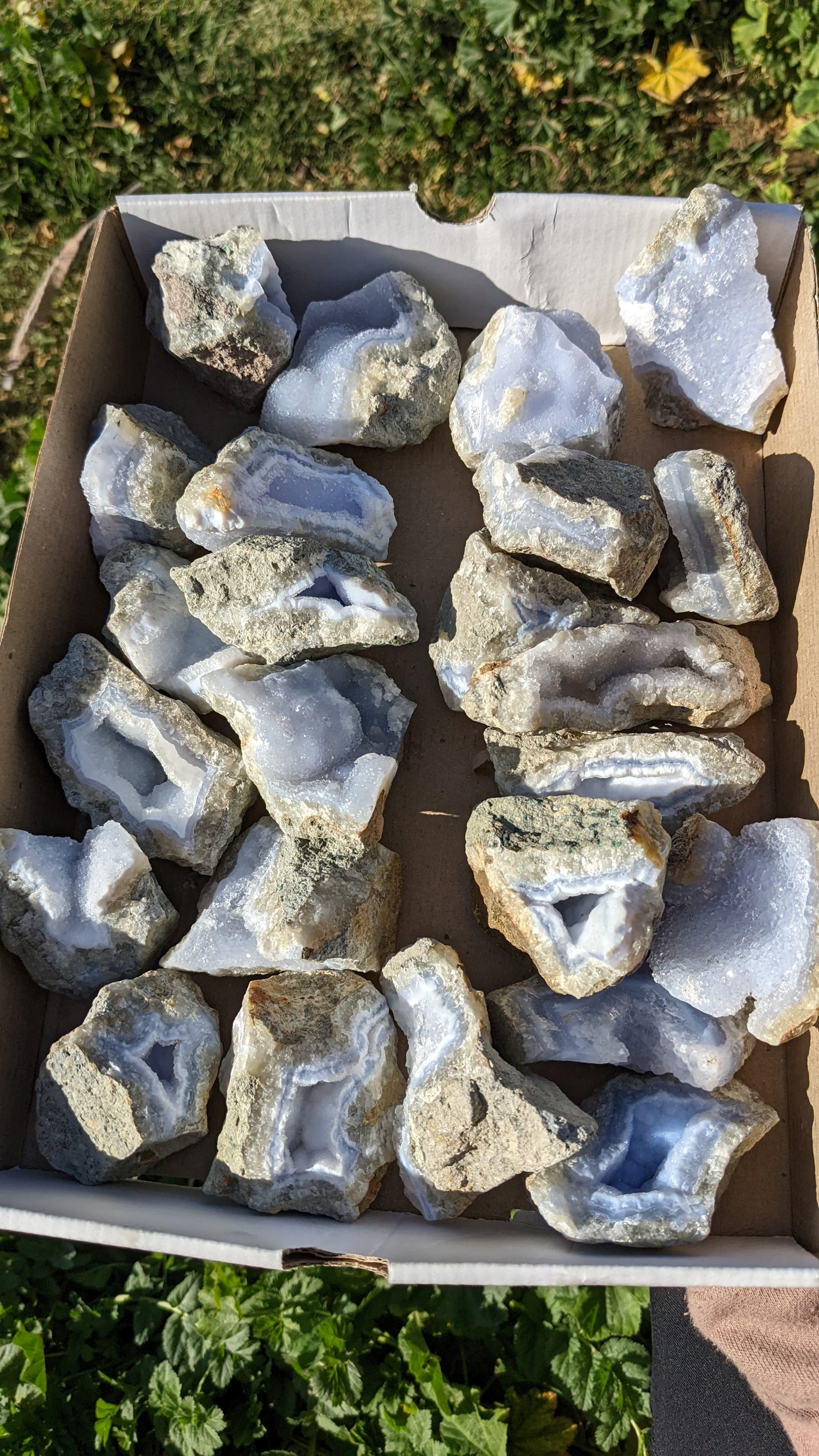 Blue Lace Agate Geodes (Medium) Intuitively Selected