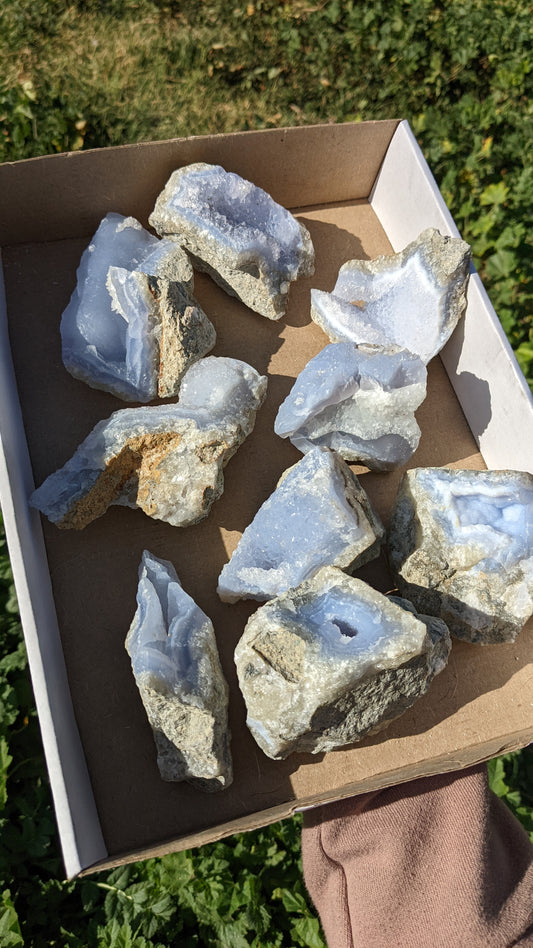 Blue Lace Agate Geodes (Large) Intuitively Selected